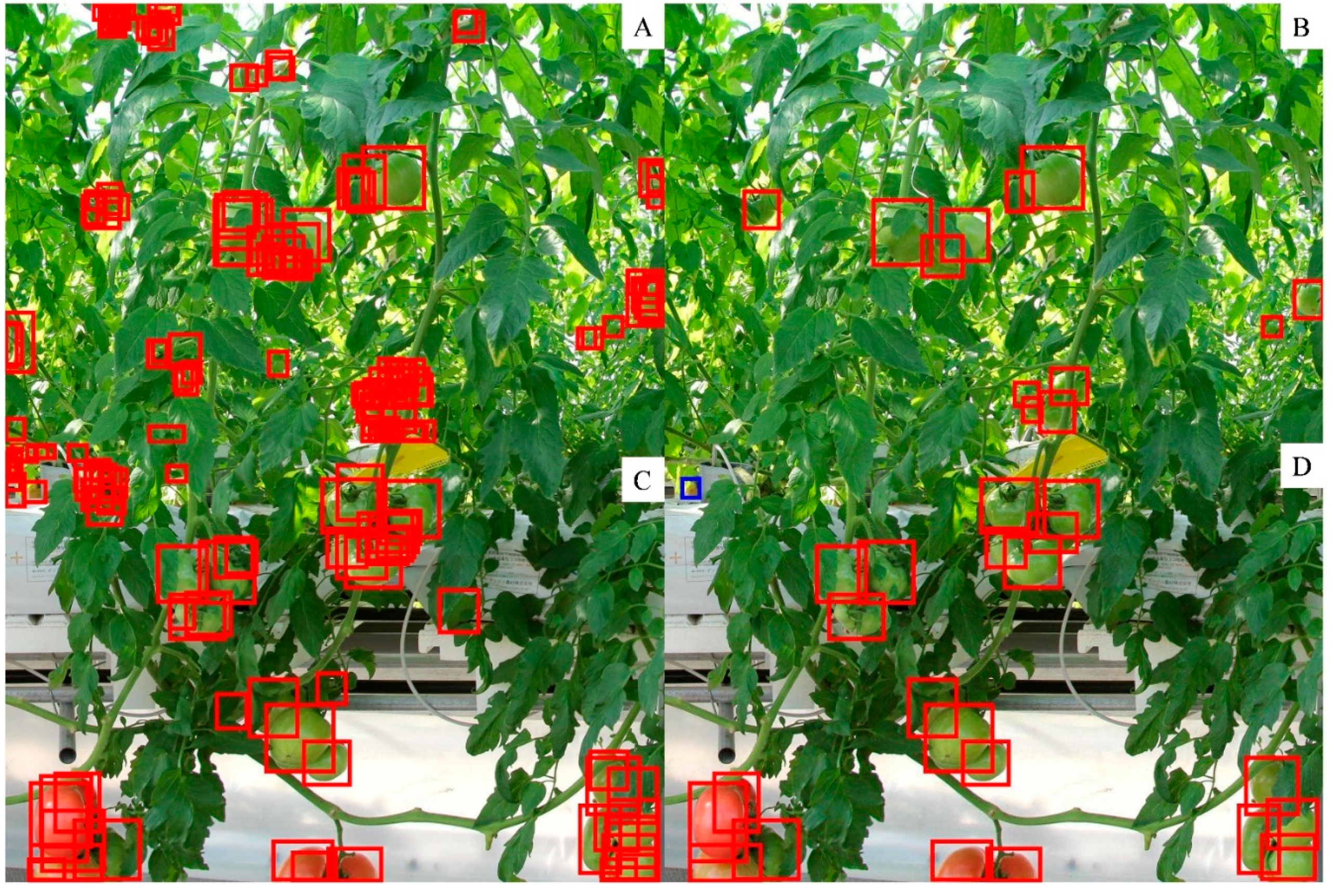 Sensors 20 02984 g006