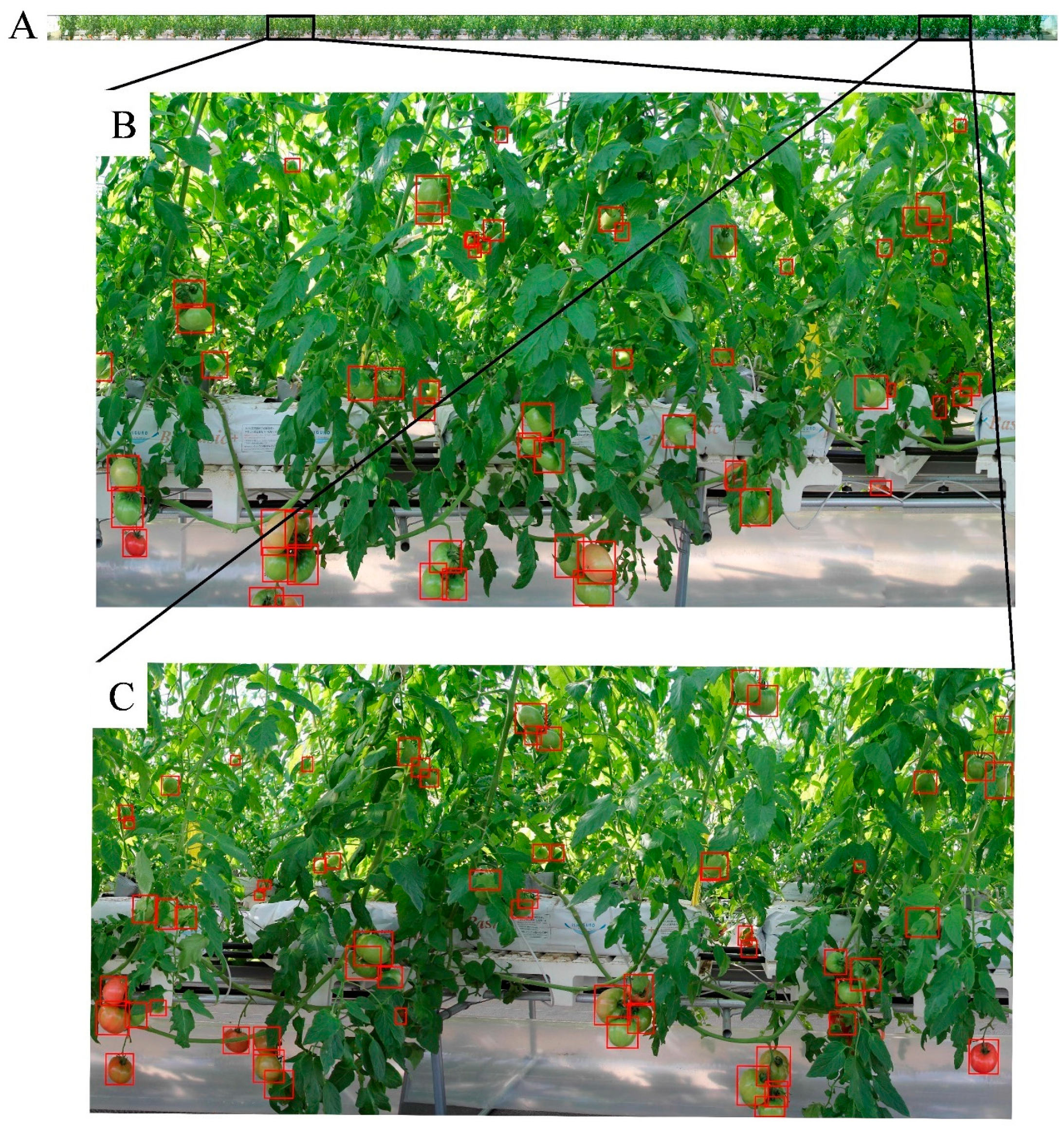 Sensors 20 02984 g008