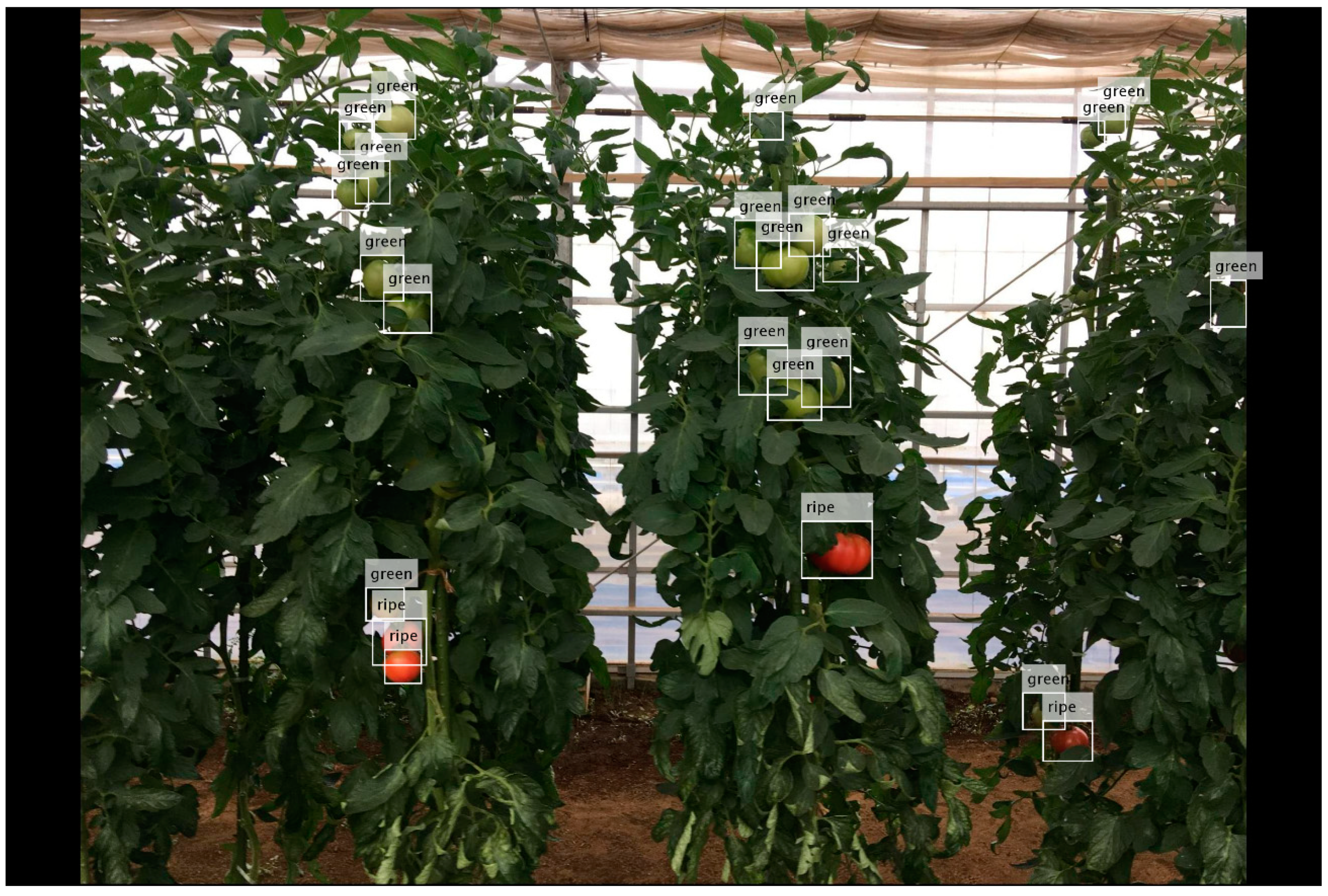 Sensors 20 02984 g013