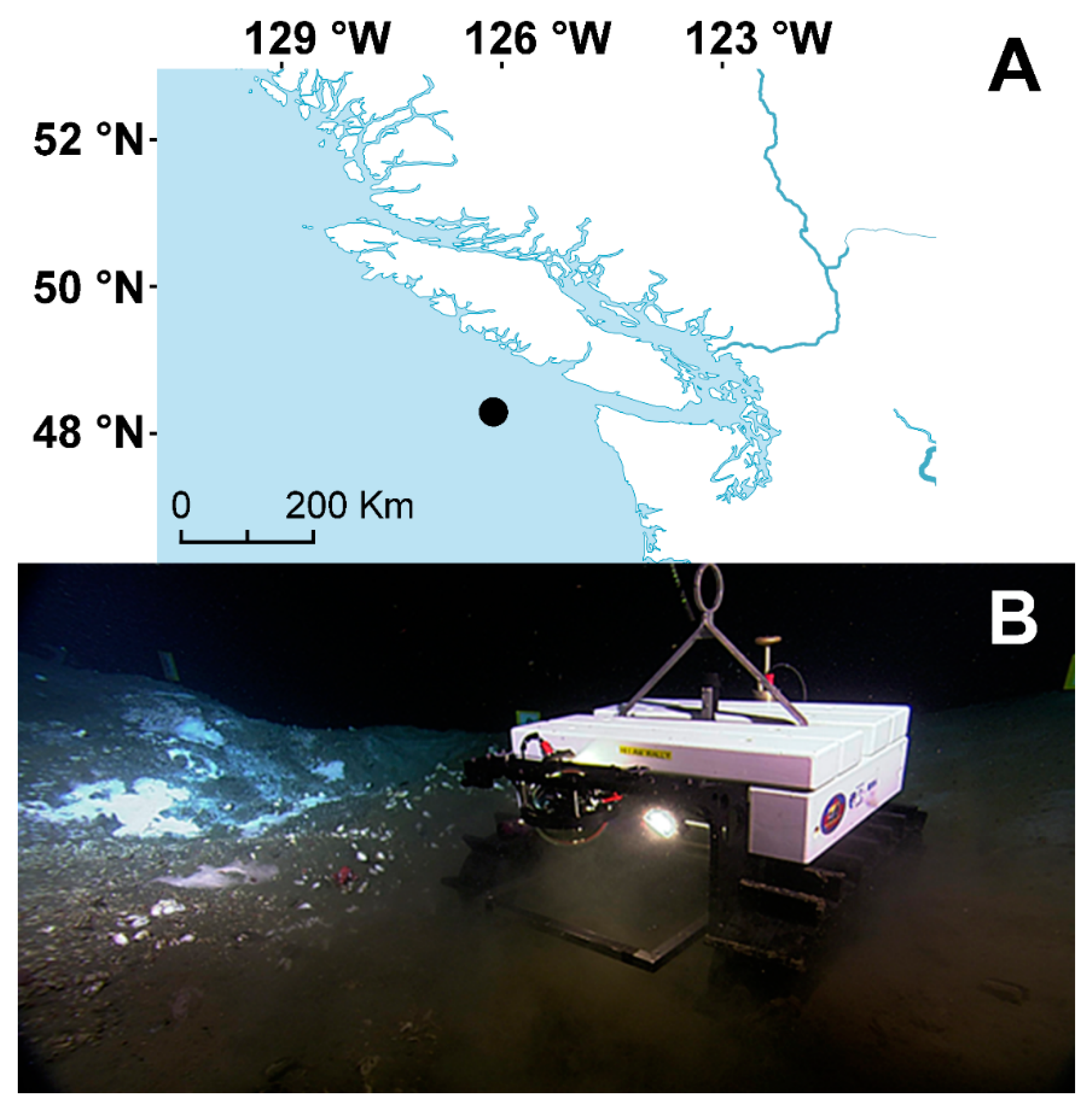 Sensors 20 02991 g001