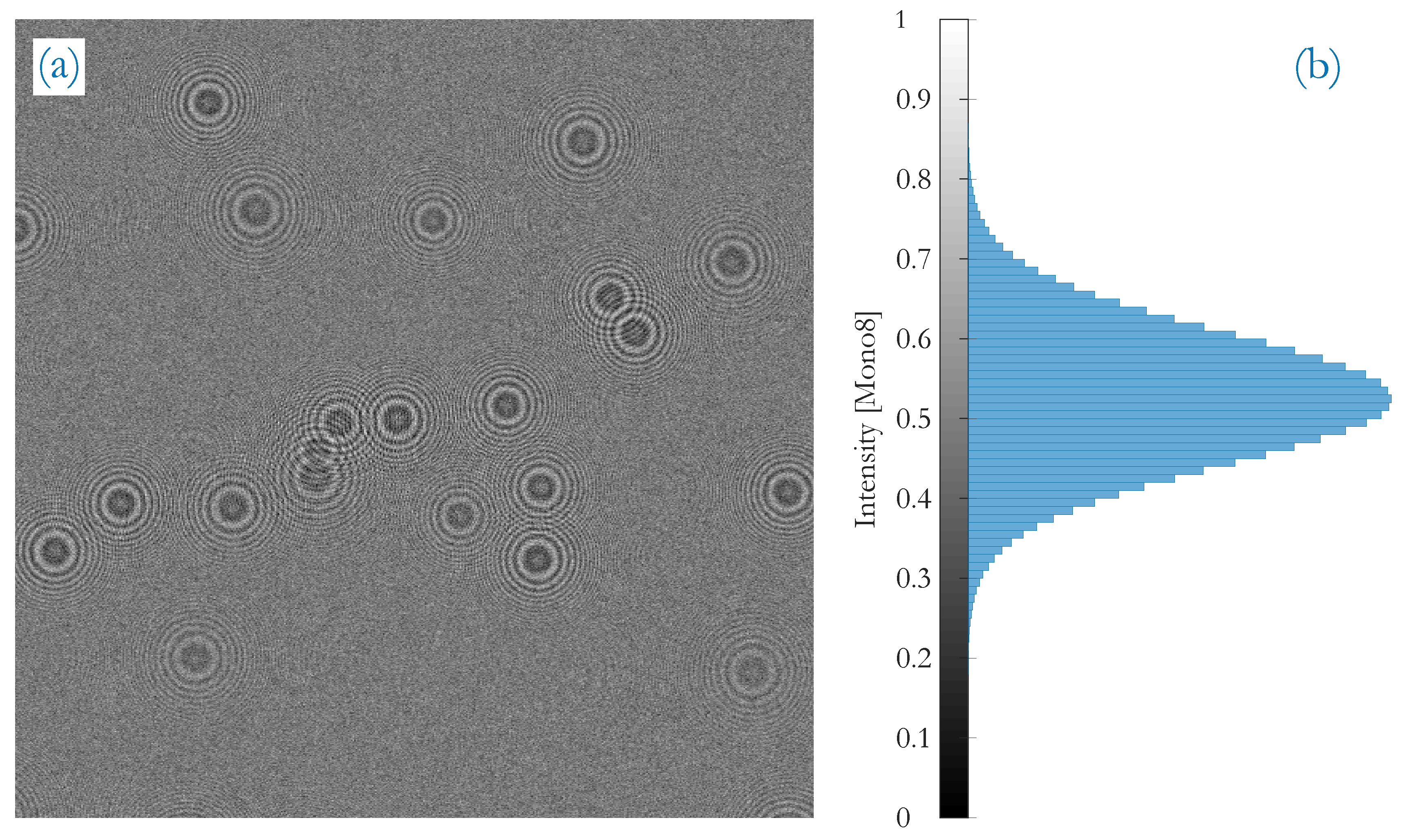 Sensors 20 03006 g002 Sensors 20 03006 g002