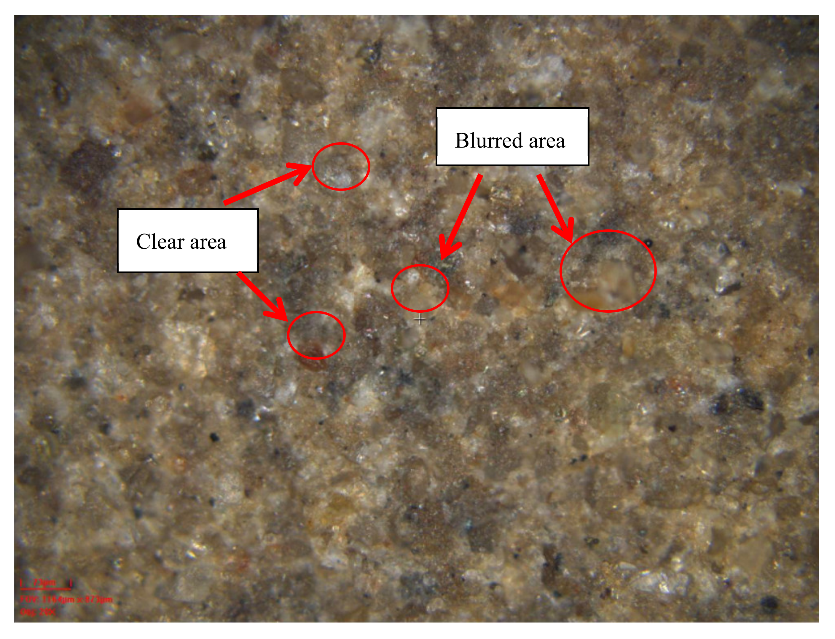Sensors 20 03009 g005 Sensors 20 03009 g005