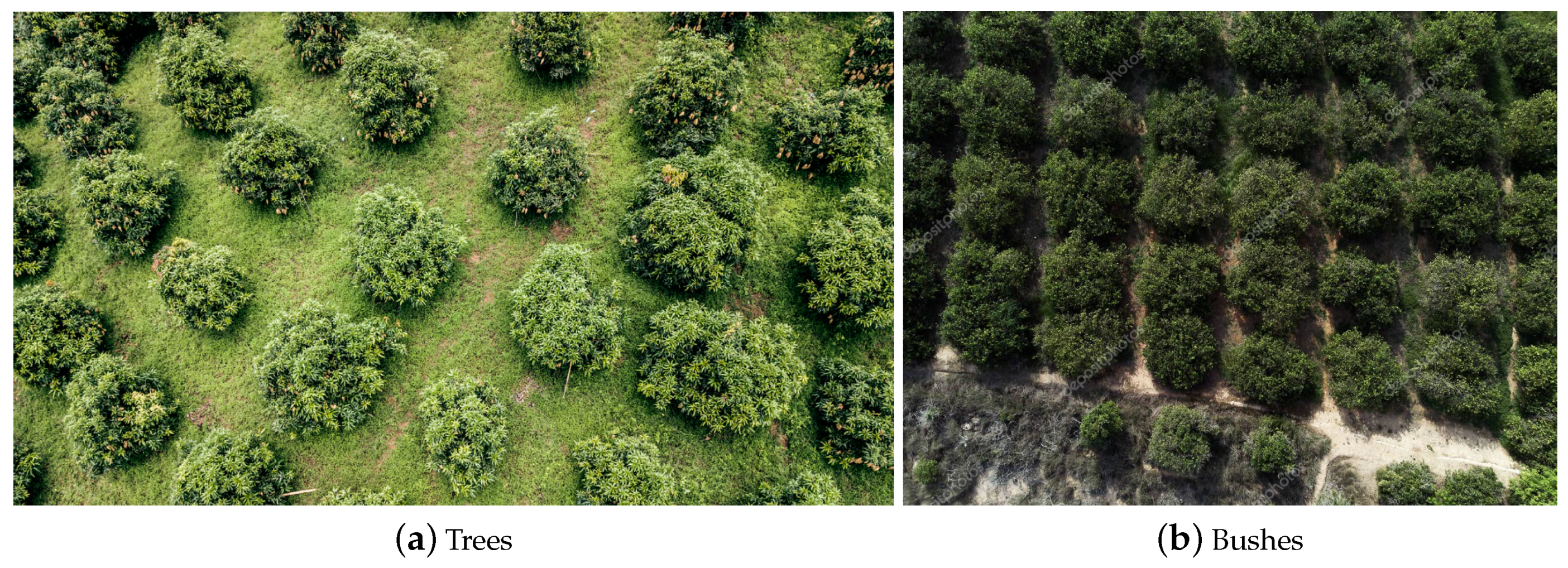 Sensors 20 03051 g002