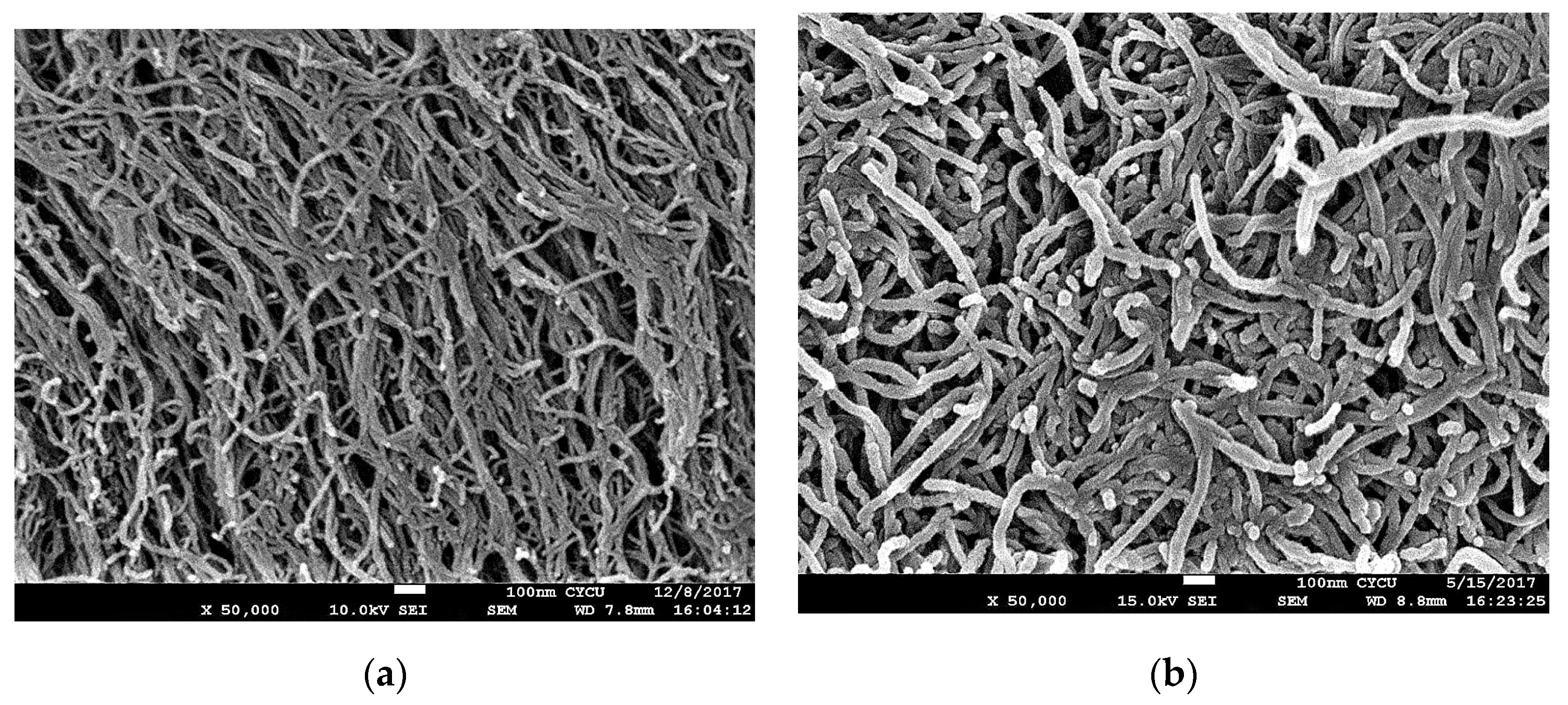 Sensors 20 03067 g001 Sensors 20 03067 g001