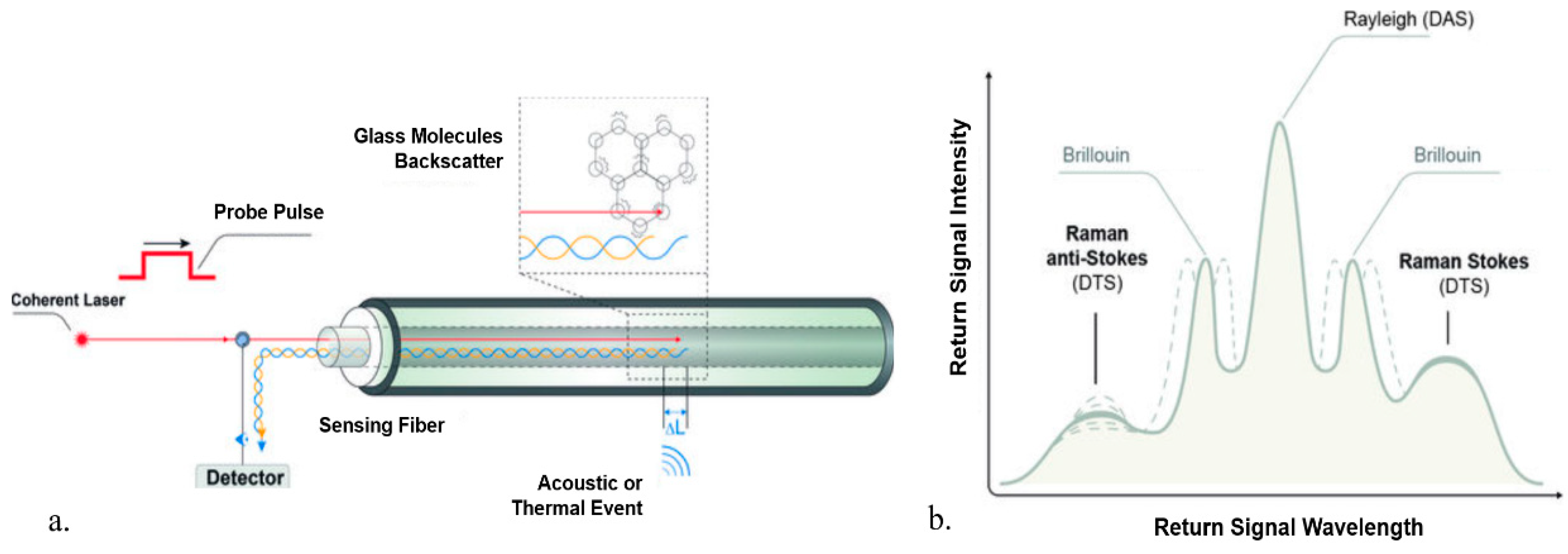 Sensors Free FullText Integrating Fiber Optic Data in Numerical