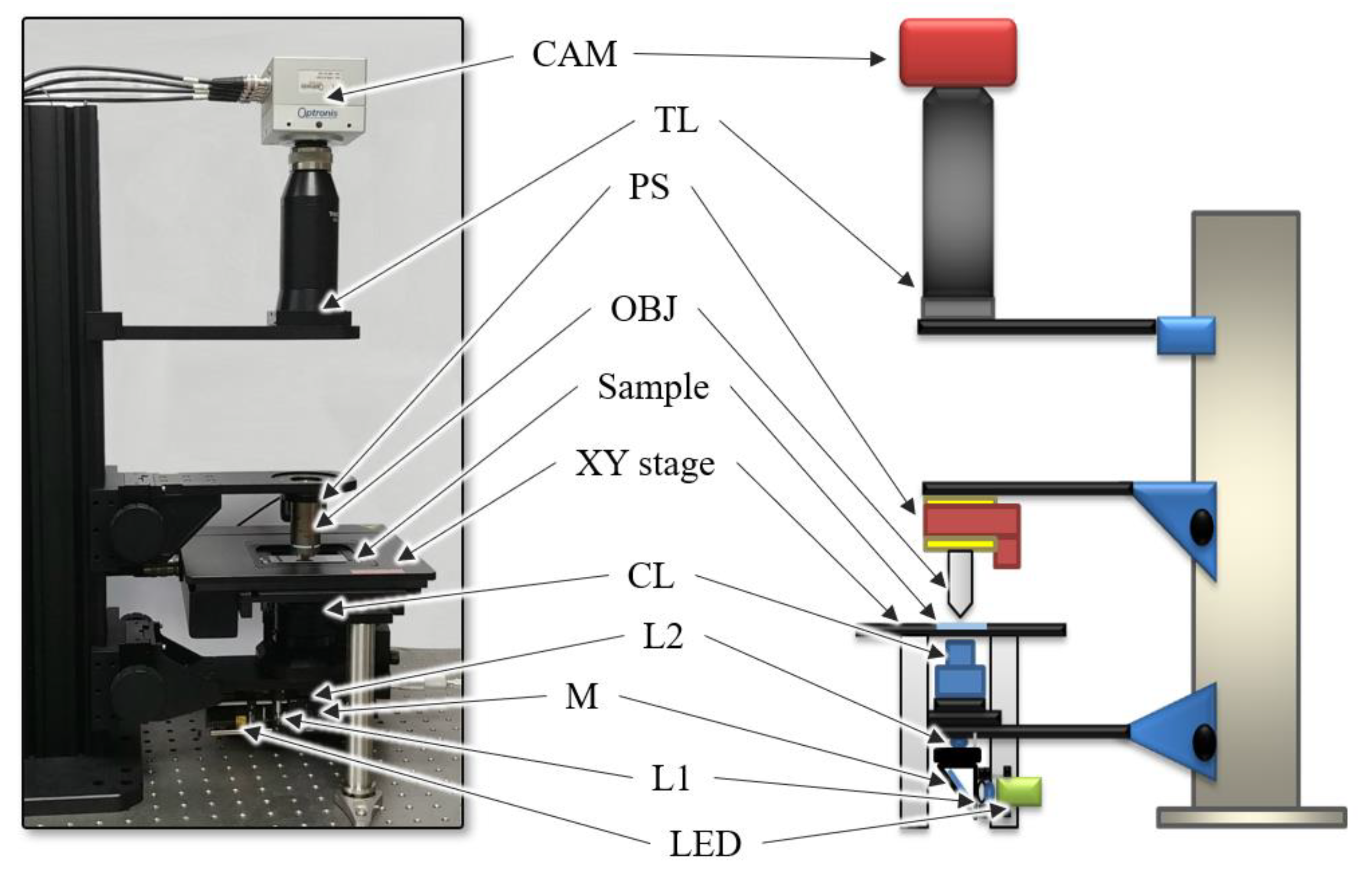 Sensors 20 03084 g001