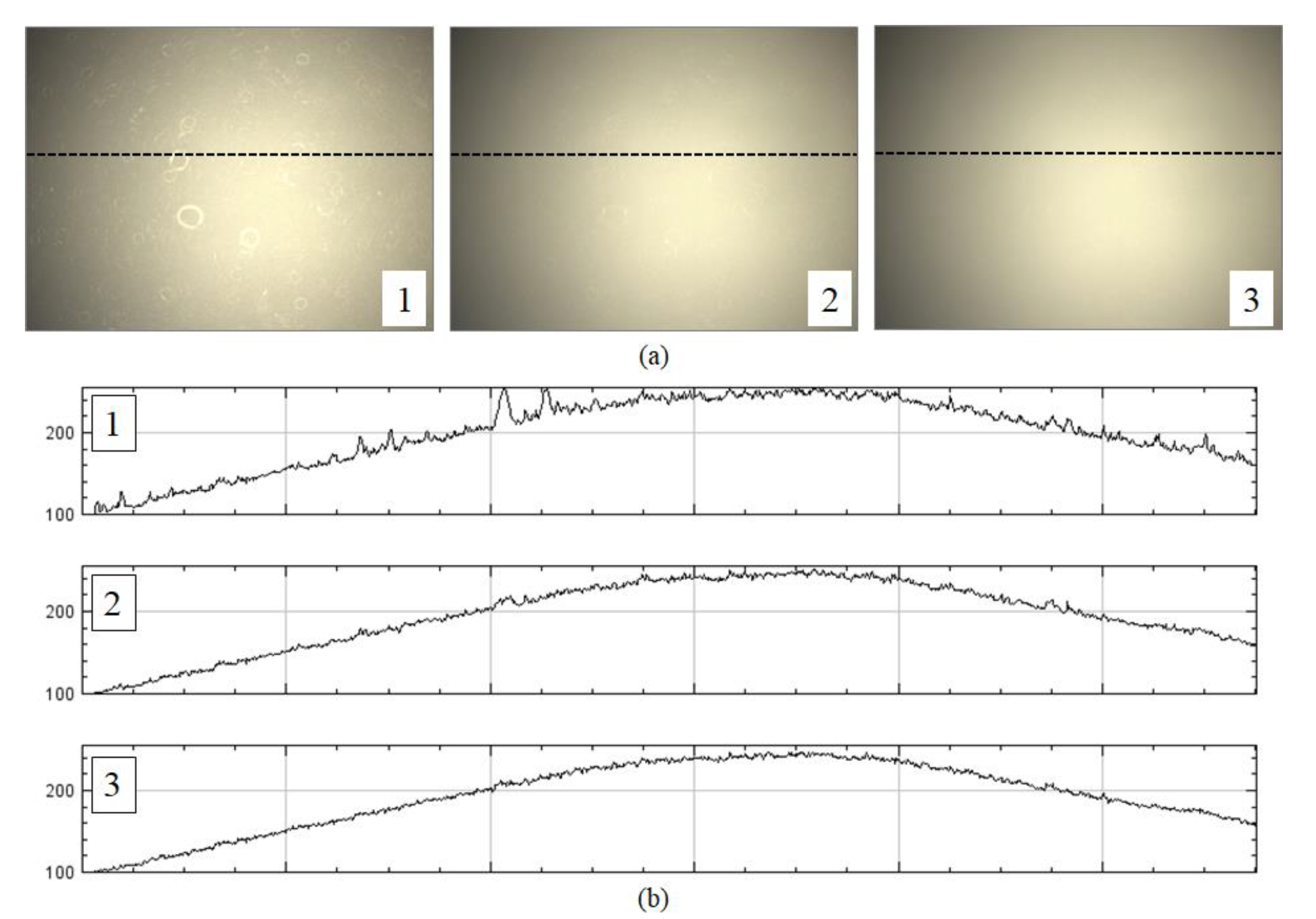 Sensors 20 03084 g003