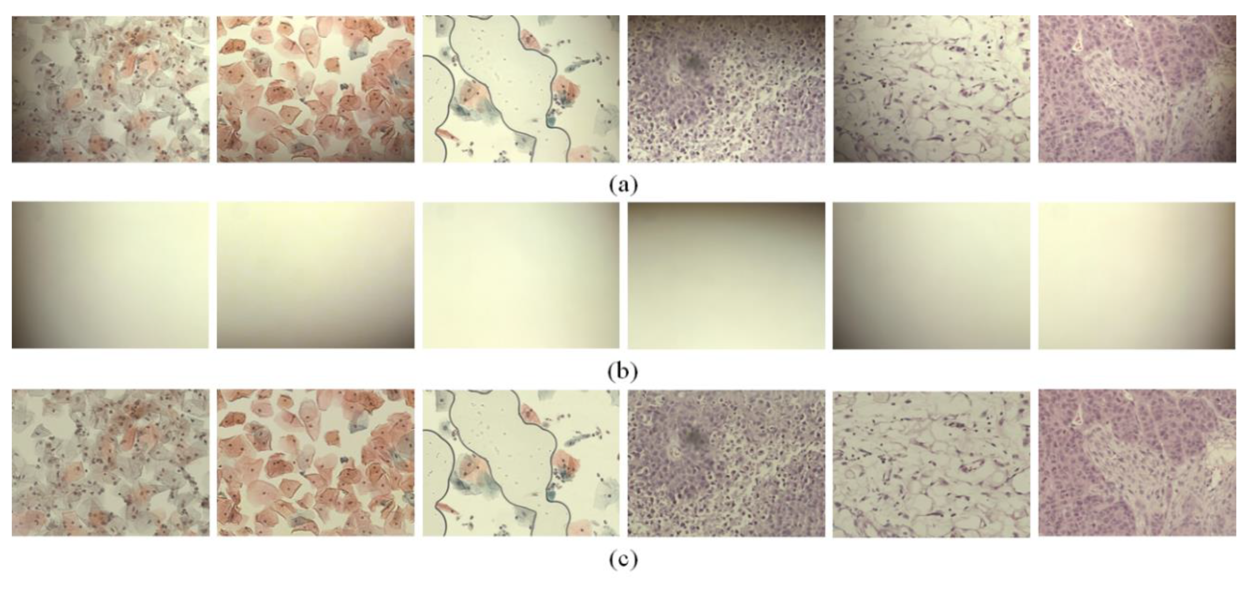 Sensors 20 03084 g004