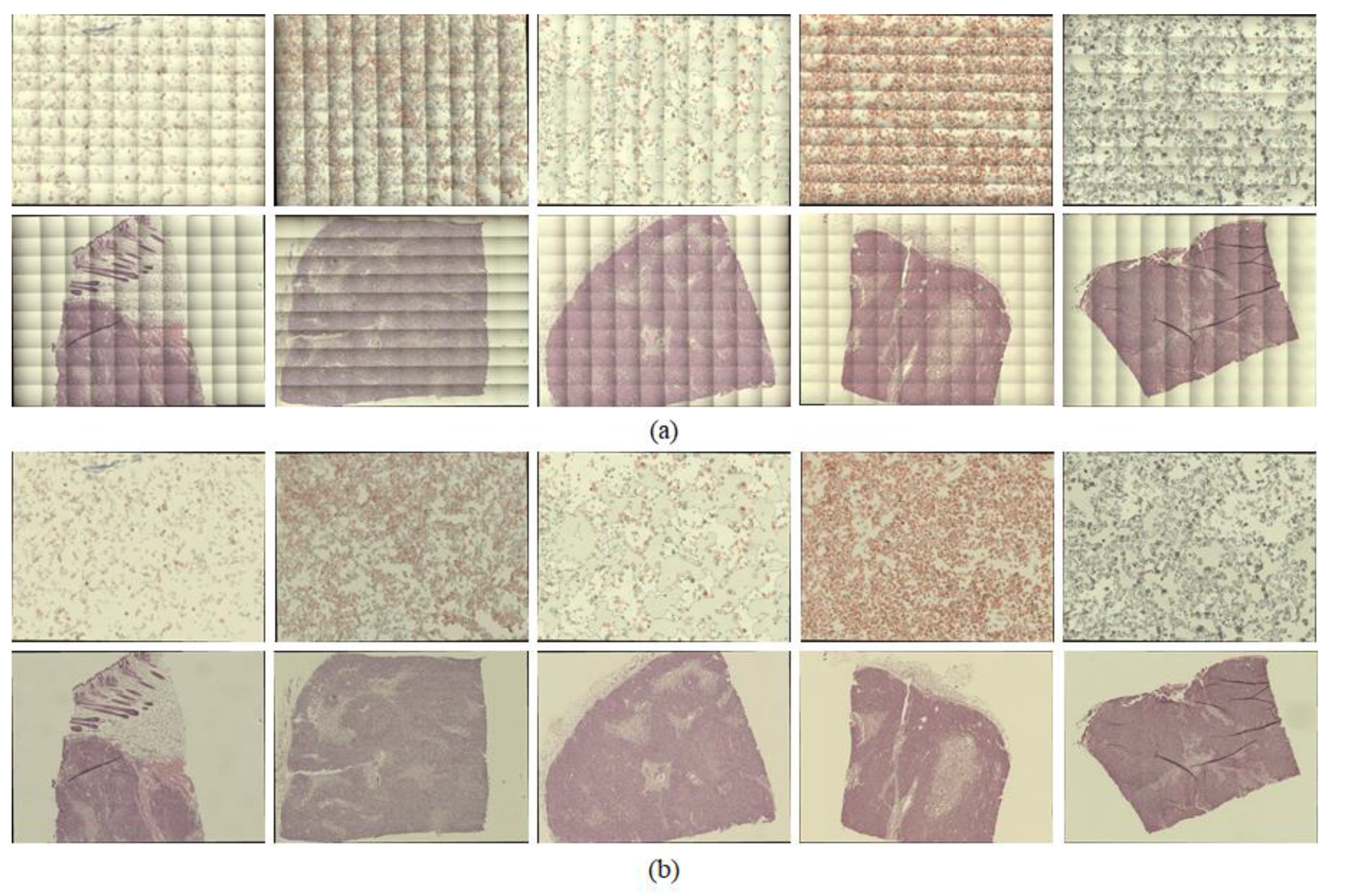Sensors 20 03084 g005