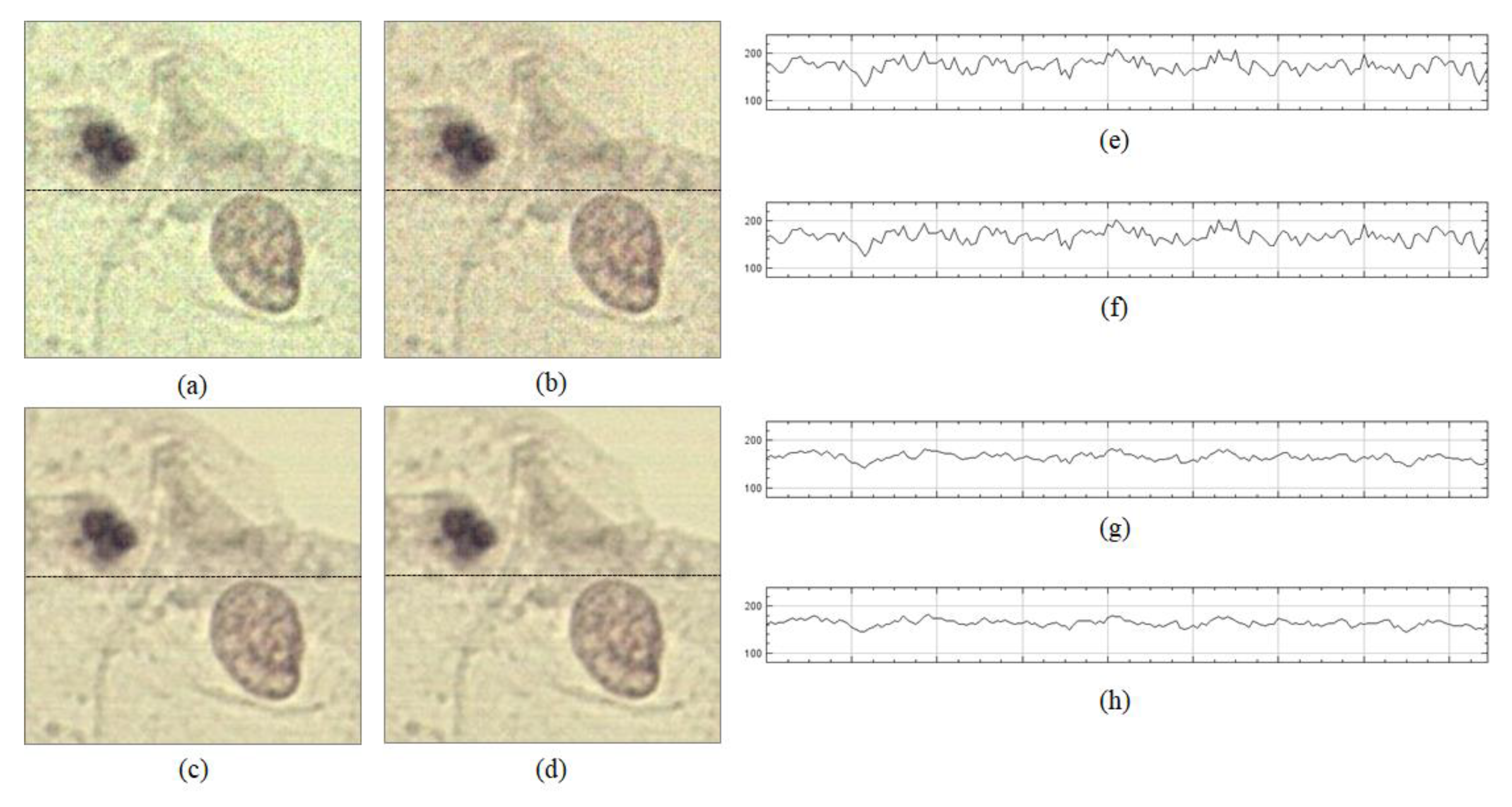 Sensors 20 03084 g009
