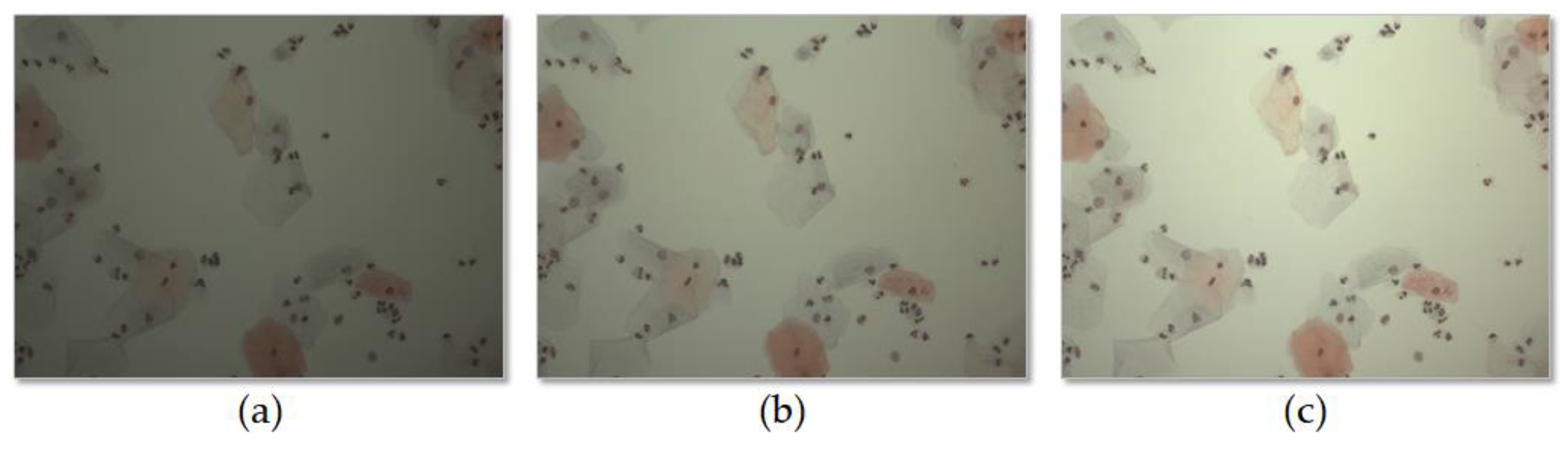 Sensors 20 03084 g010