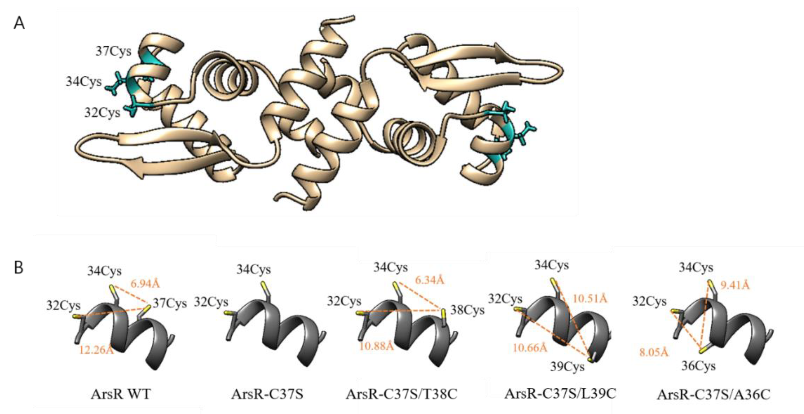 Sensors 20 03093 g005 Sensors 20 03093 g005