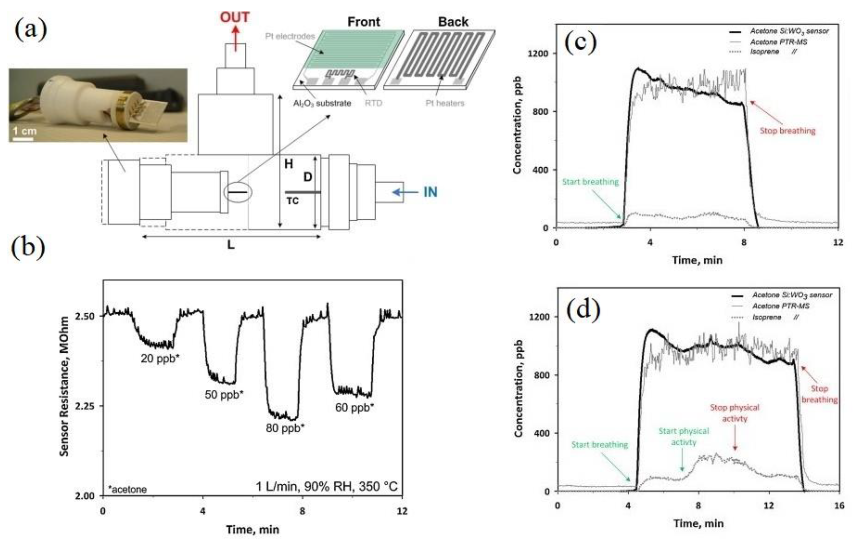 Sensors 20 03096 g006