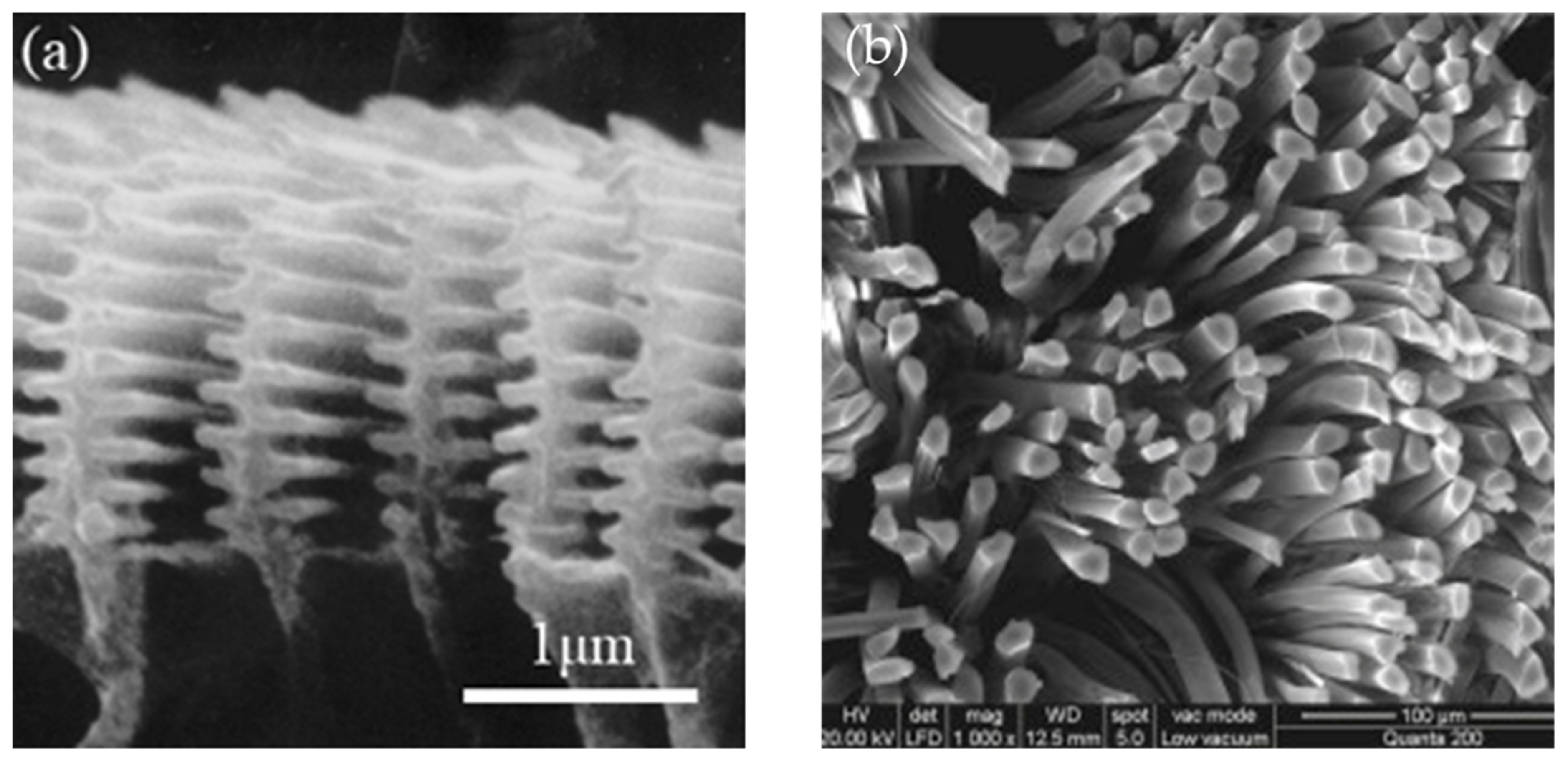 Sensors 20 03132 g001 Sensors 20 03132 g001
