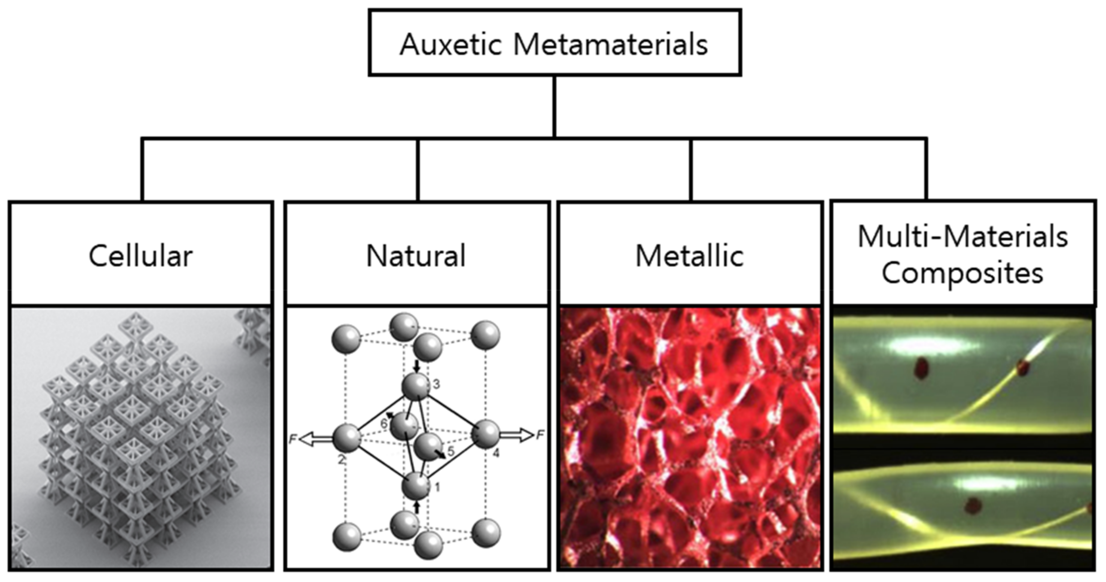 Sensors 20 03132 g003 Sensors 20 03132 g003