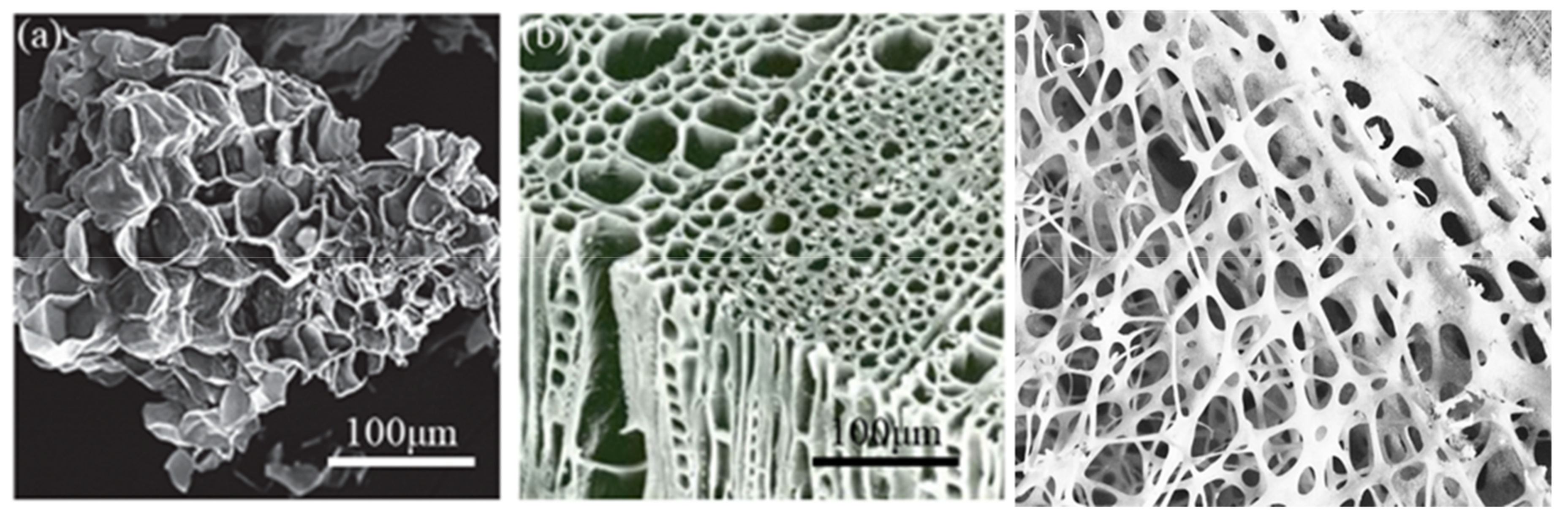 Sensors 20 03132 g004 Sensors 20 03132 g004