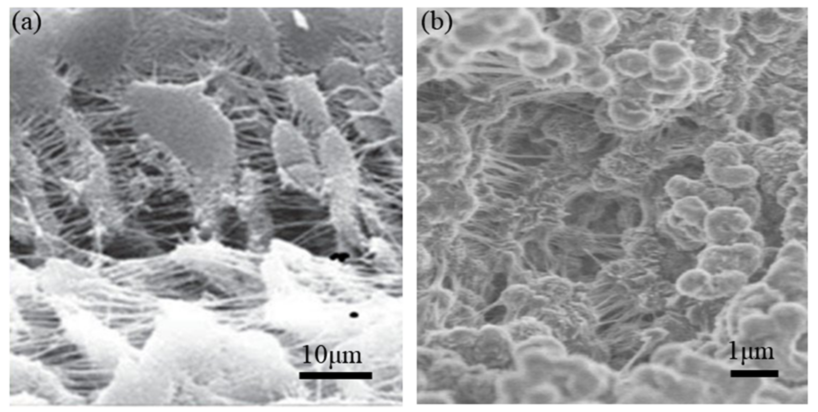 Sensors 20 03132 g014 Sensors 20 03132 g014