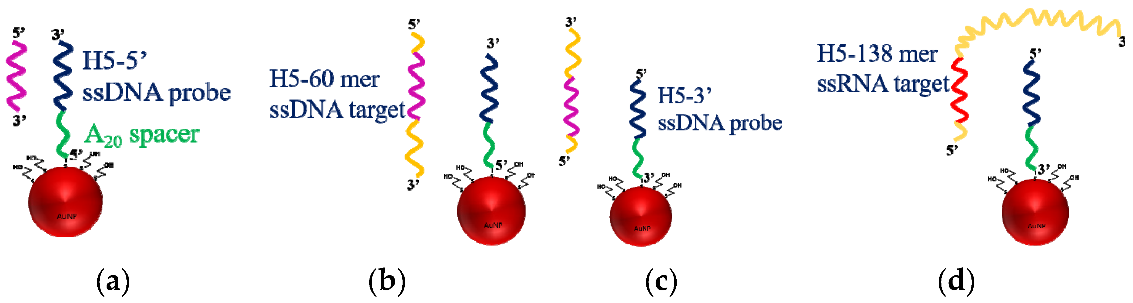 Sensors 20 03137 g005
