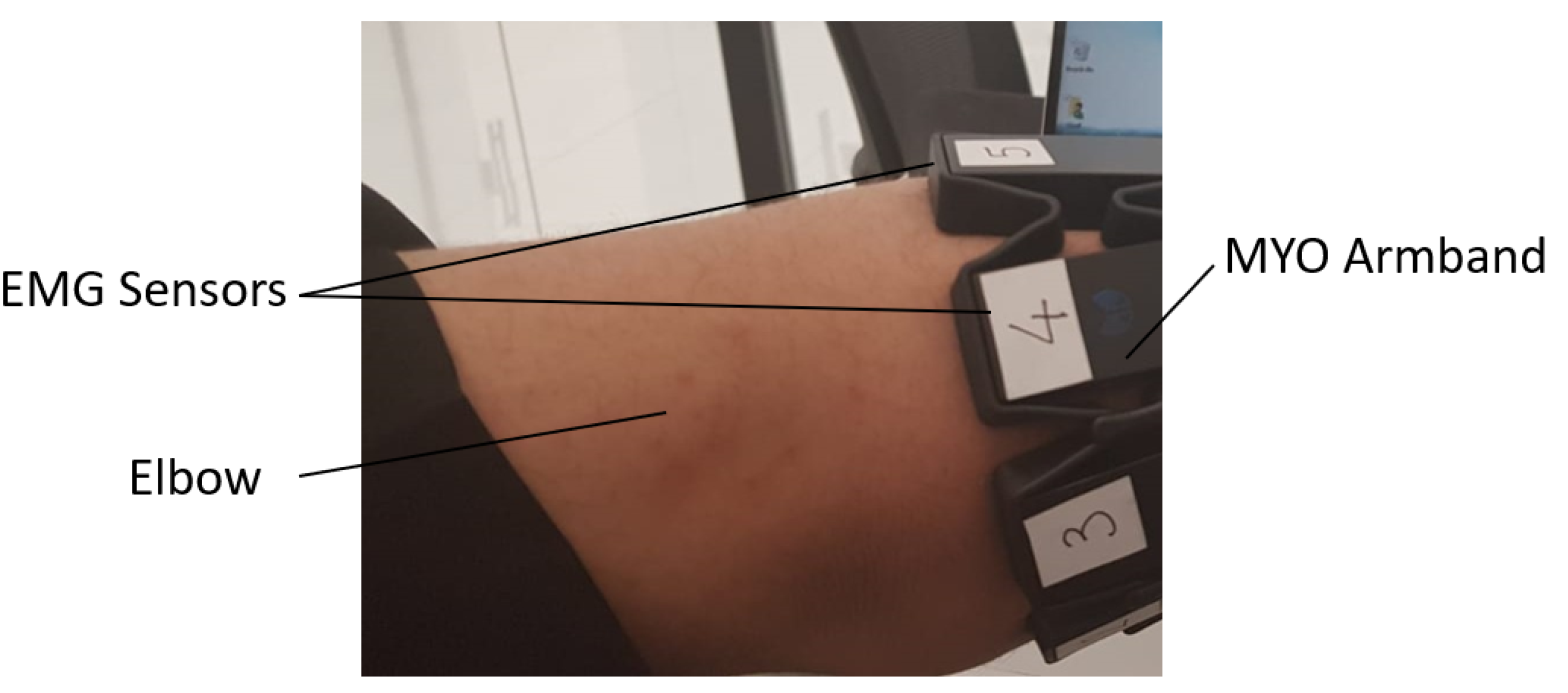 Sensors 20 03144 g001