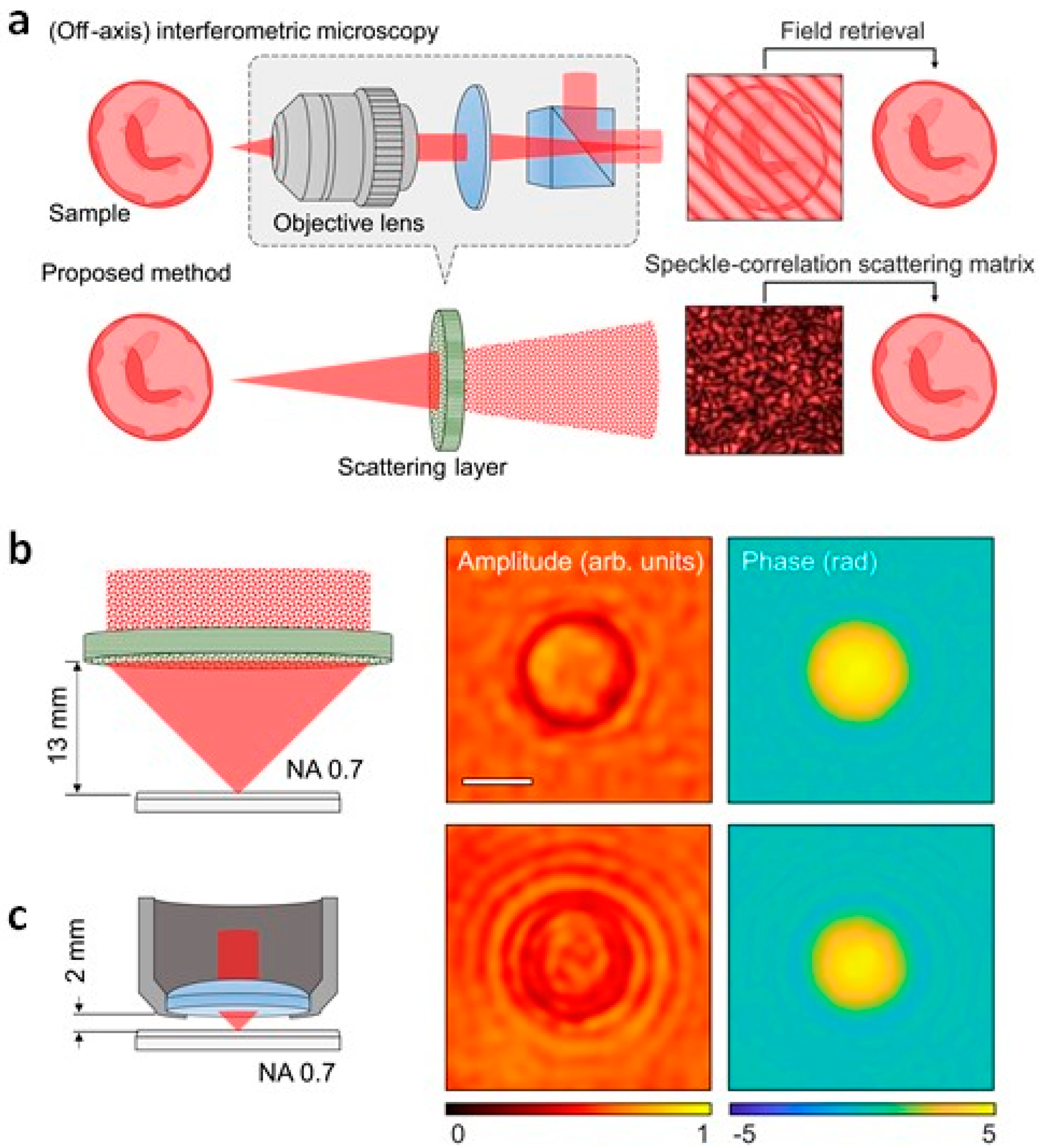Sensors 20 03147 g005 Sensors 20 03147 g005