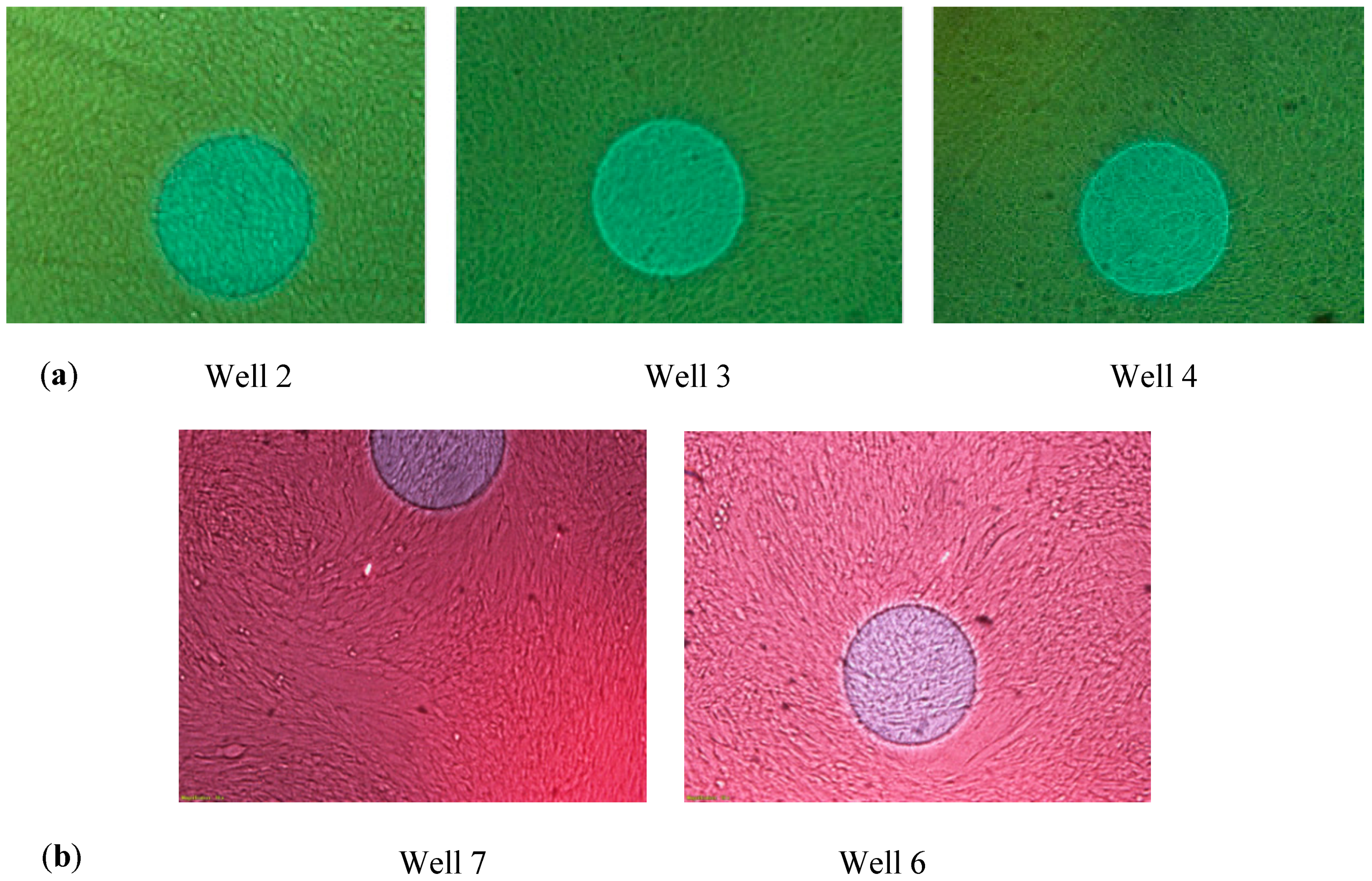 Sensors 20 03152 g002