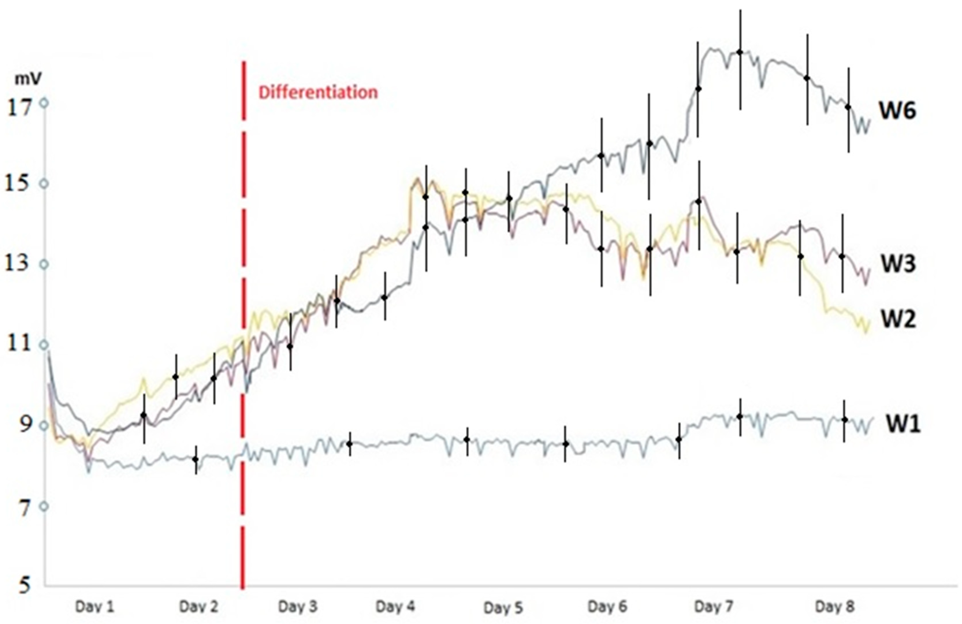 Sensors 20 03152 g004