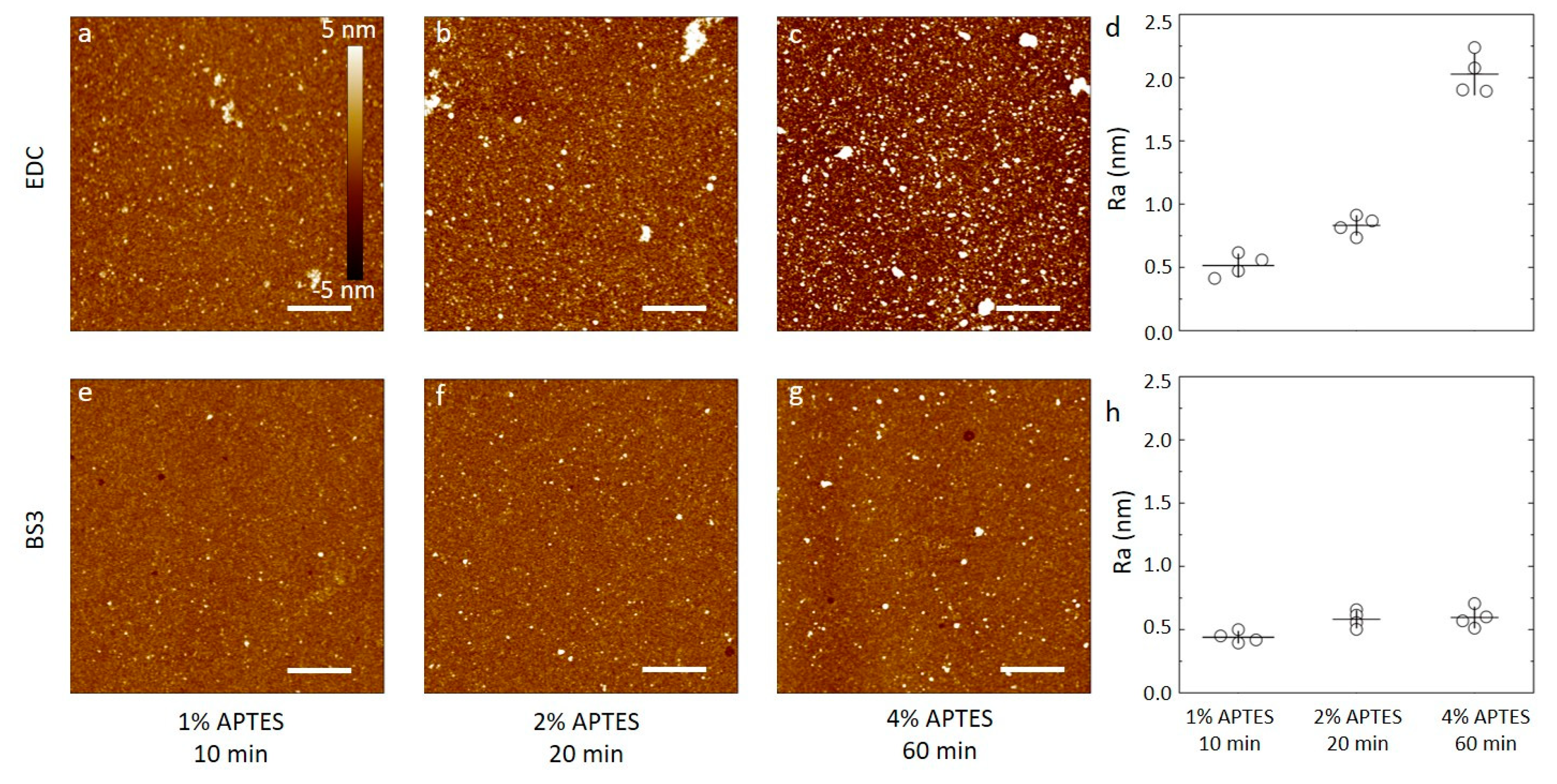 Sensors 20 03163 g005 Sensors 20 03163 g005
