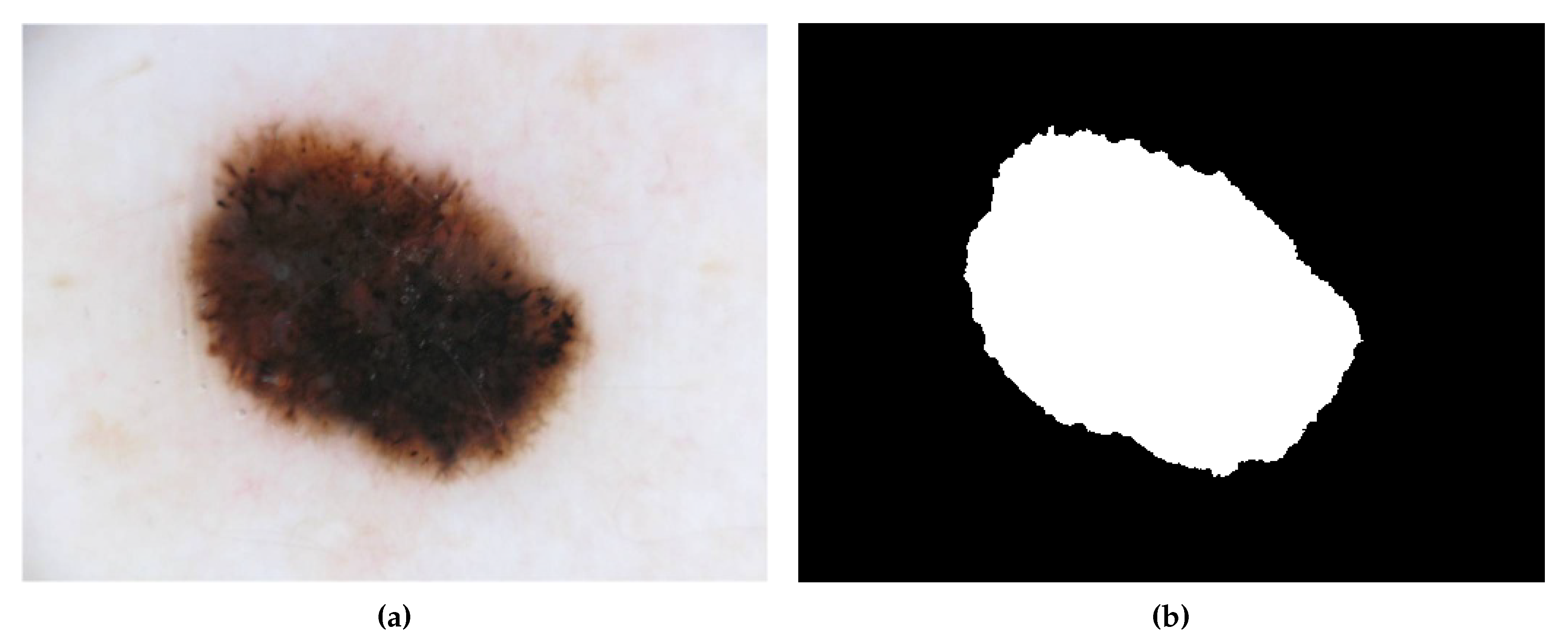 Sensors 20 03168 g002