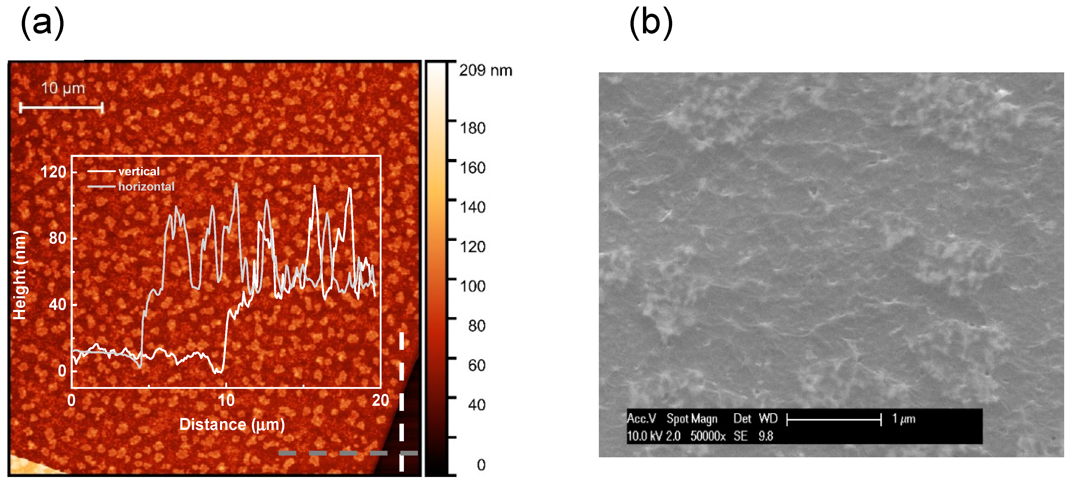 Sensors 20 03174 g002 Sensors 20 03174 g002