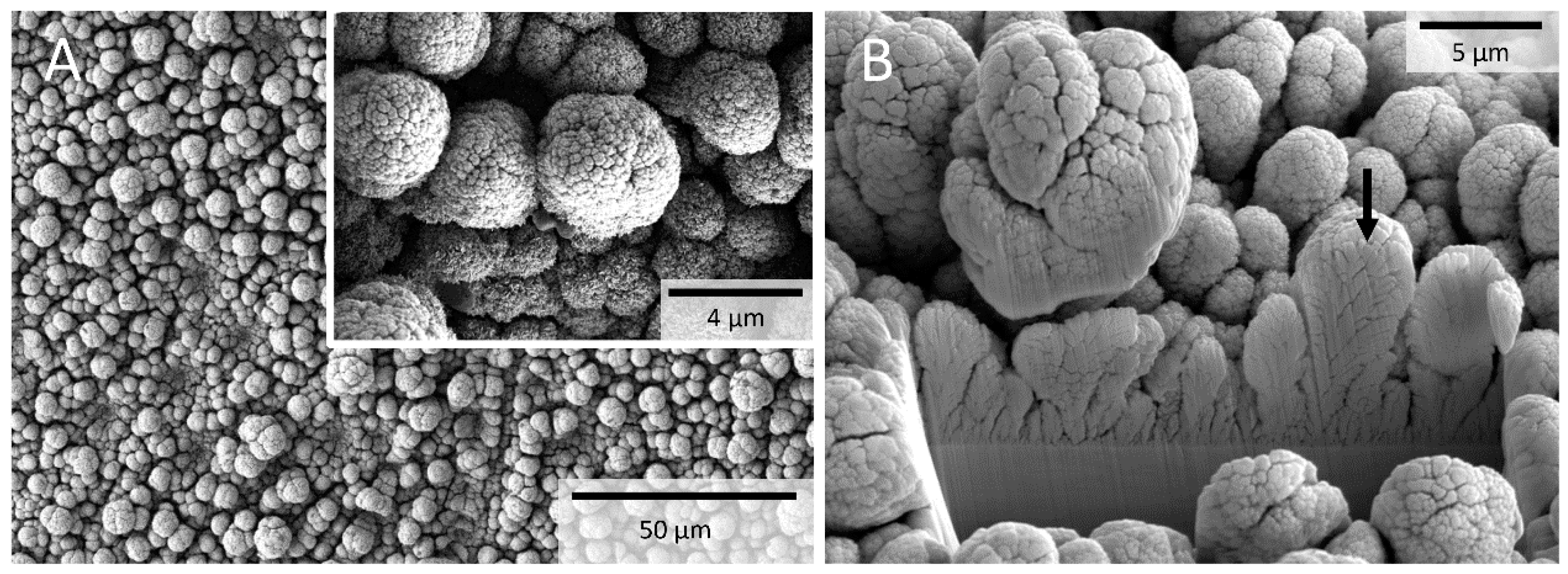 Sensors 20 03176 g002 Sensors 20 03176 g002