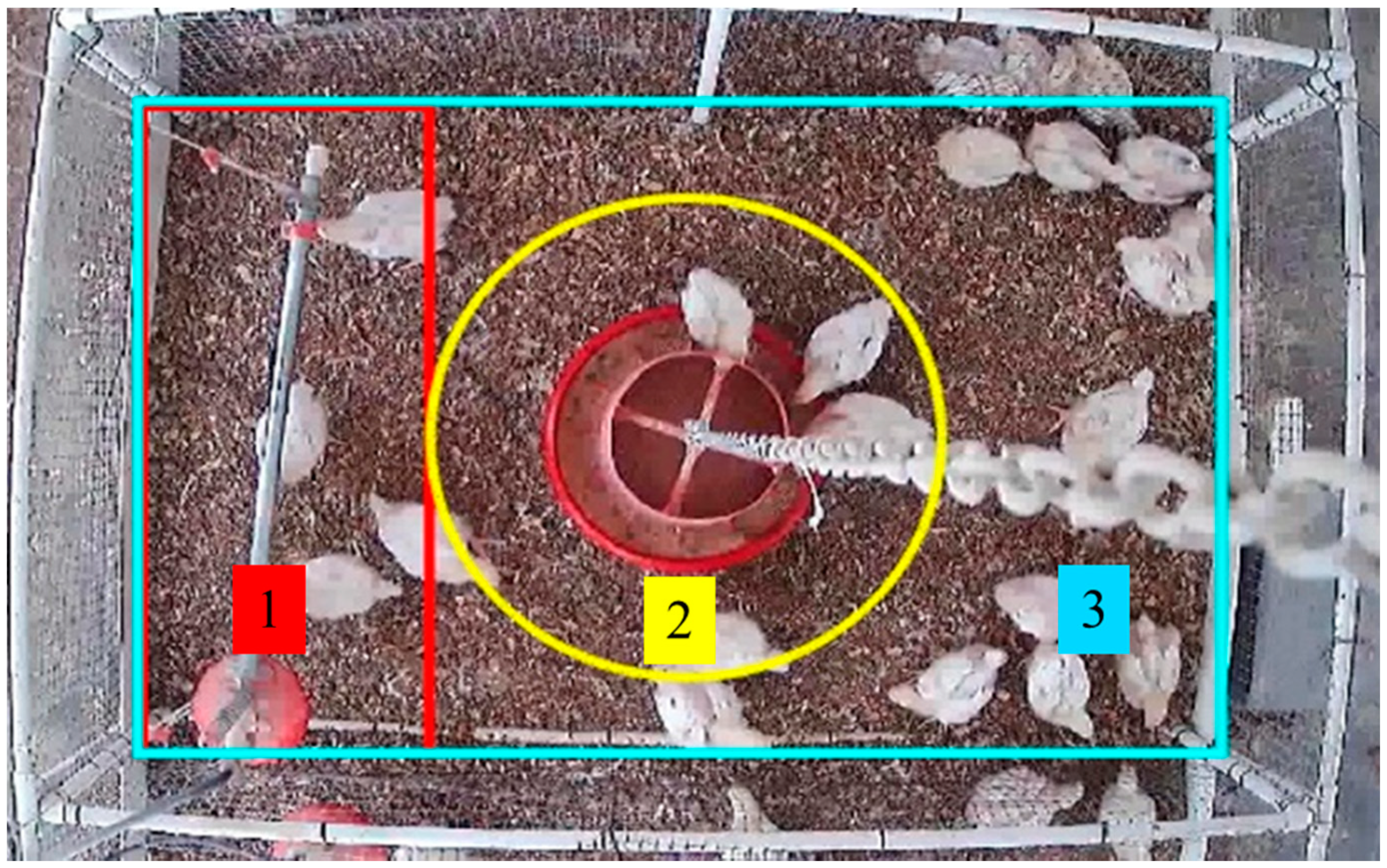 Sensors 20 03179 g002 Sensors 20 03179 g002