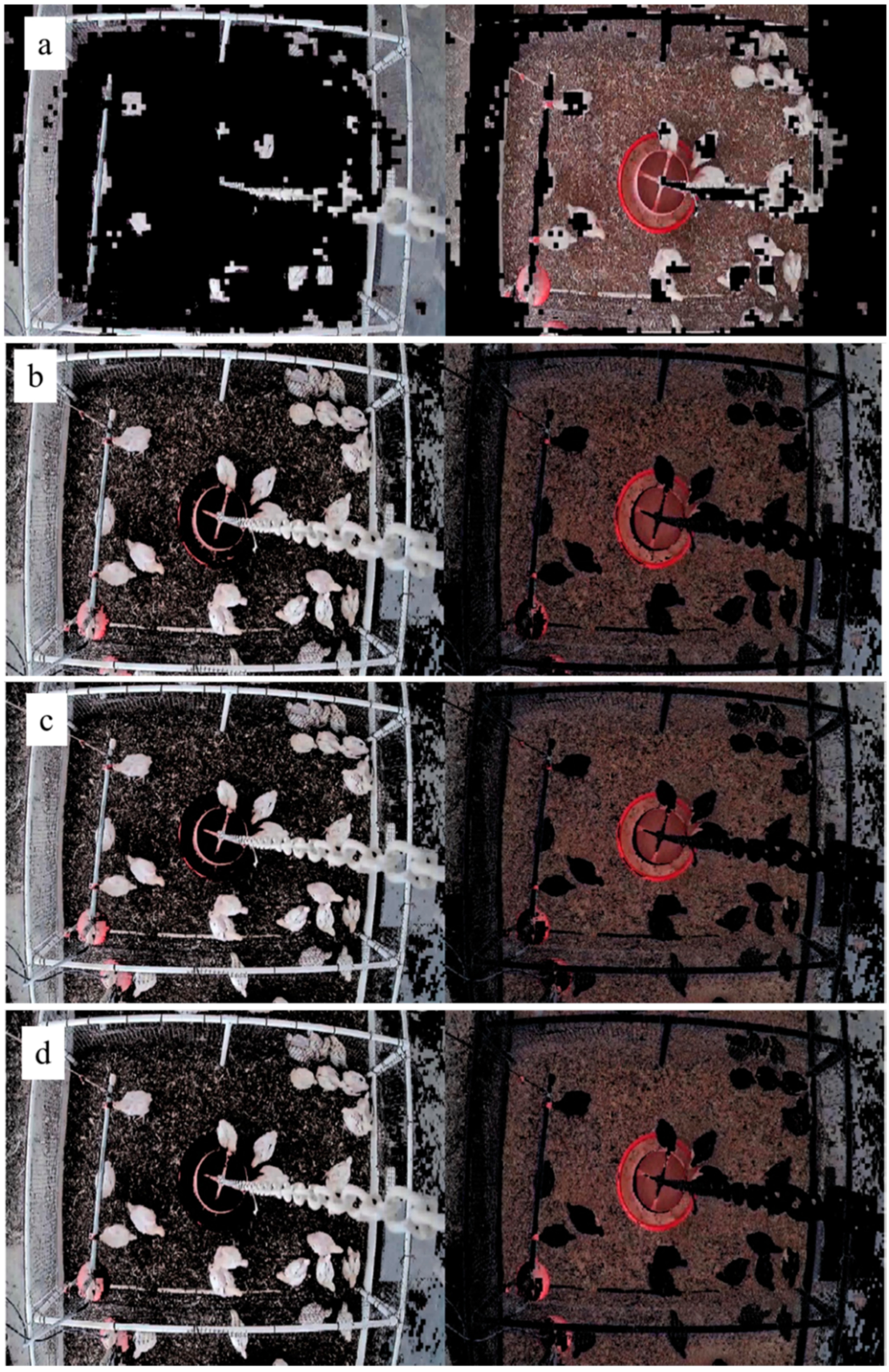 Sensors 20 03179 g003 Sensors 20 03179 g003