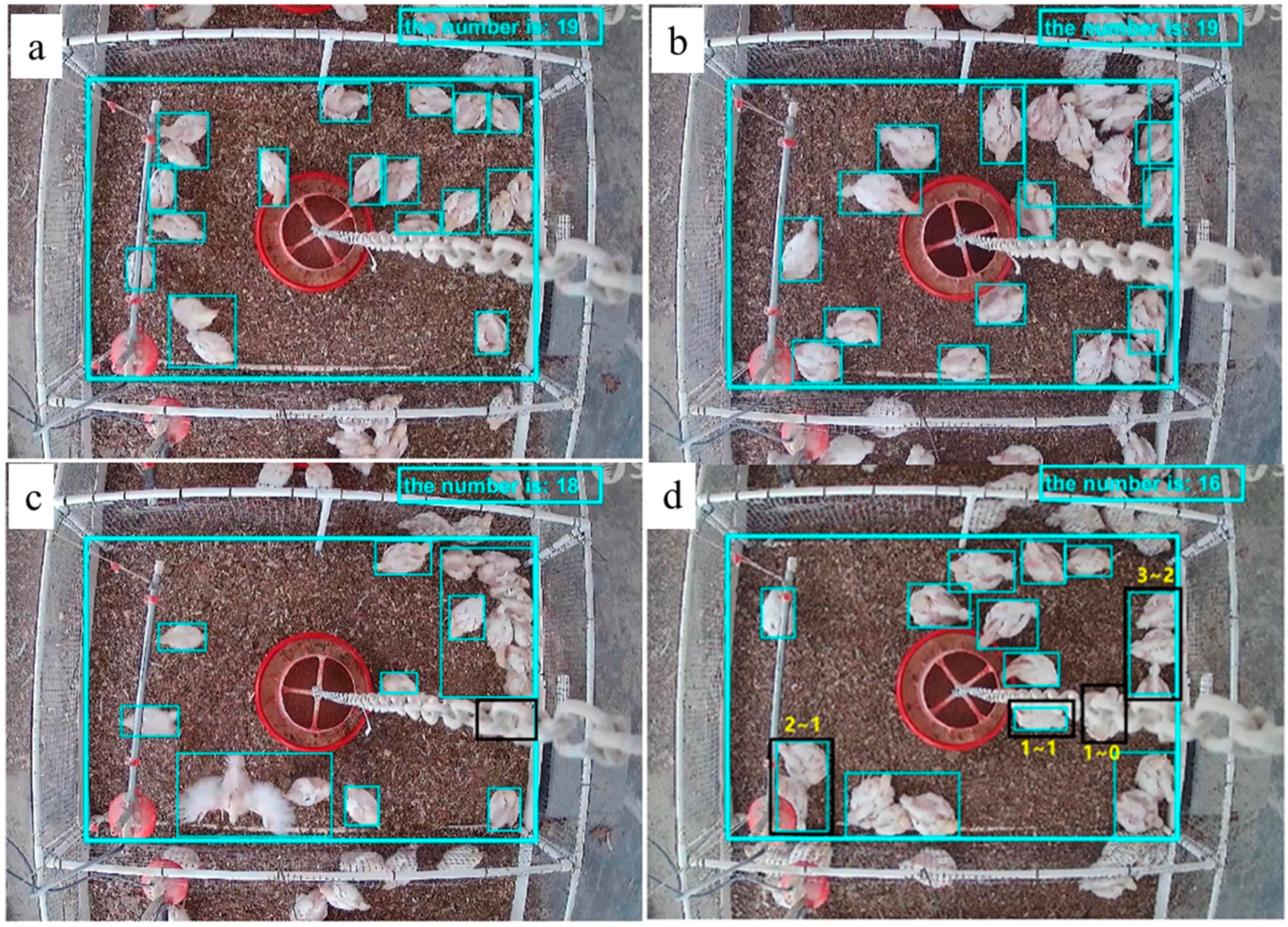 Sensors 20 03179 g007 Sensors 20 03179 g007