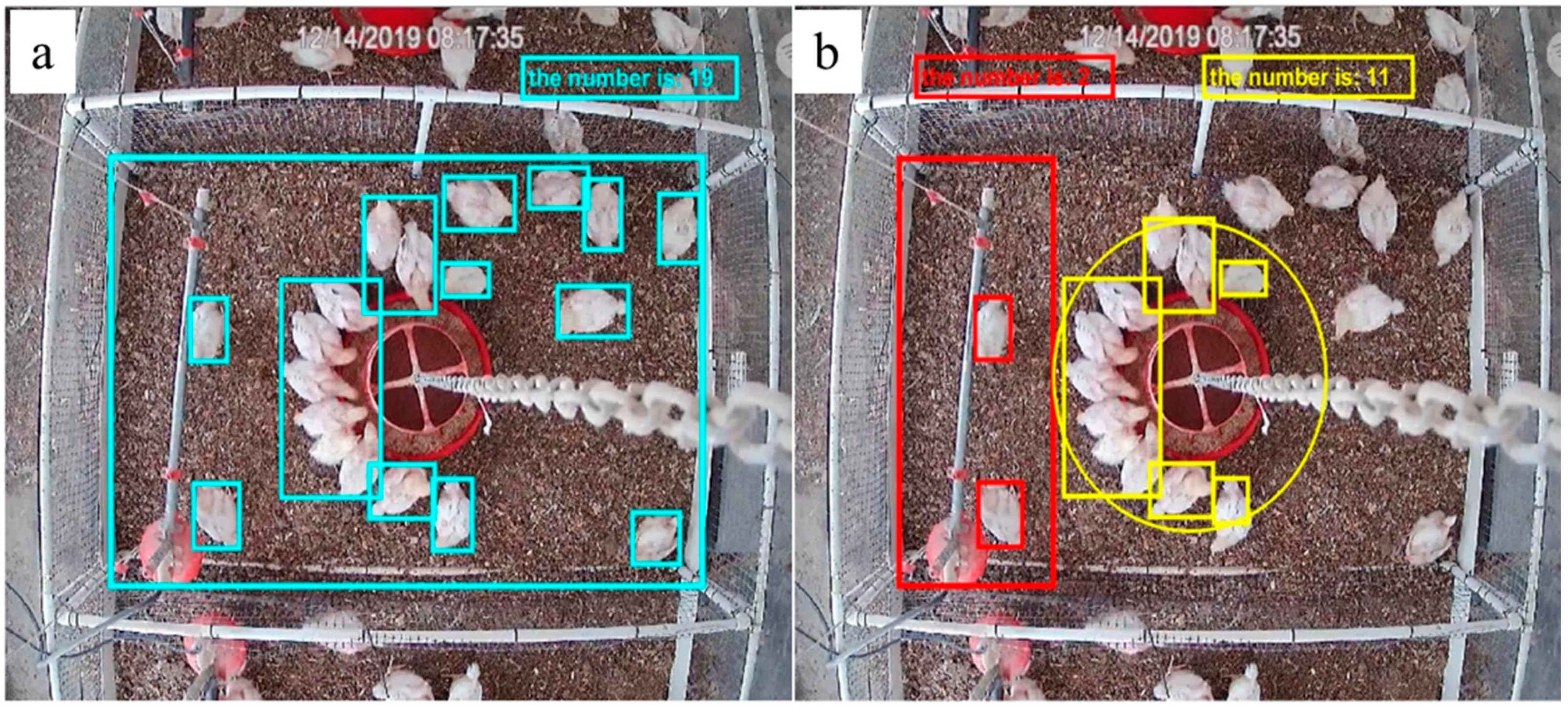 poultry track monitoring camera