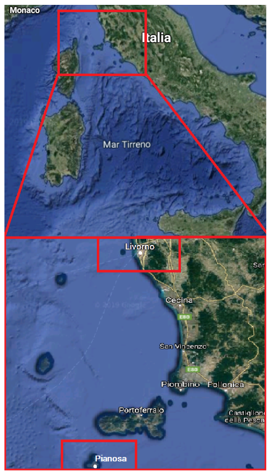 Sensors 20 03181 g003