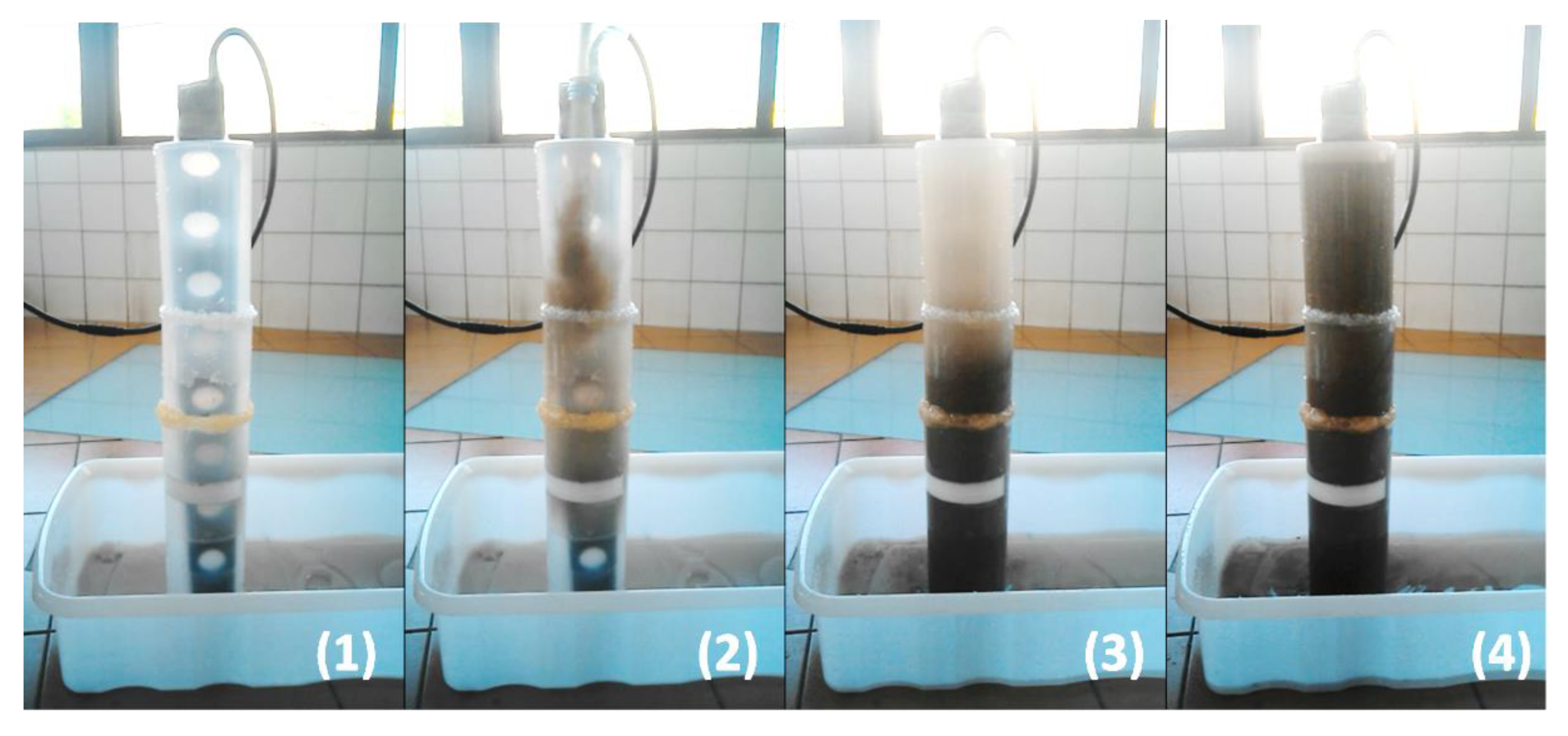 Sensors 20 03194 g008