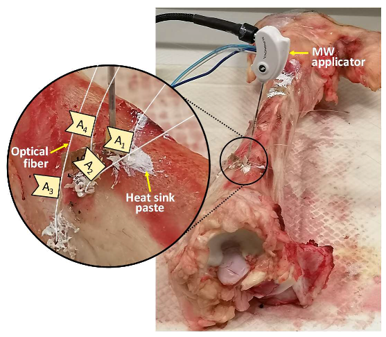 Sensors 20 03200 g001 Sensors 20 03200 g001