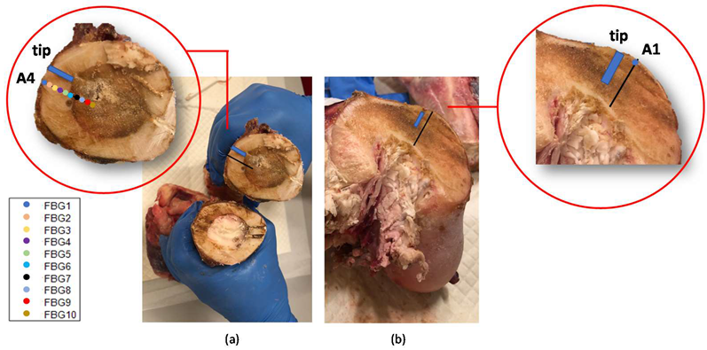 Sensors 20 03200 g012 Sensors 20 03200 g012