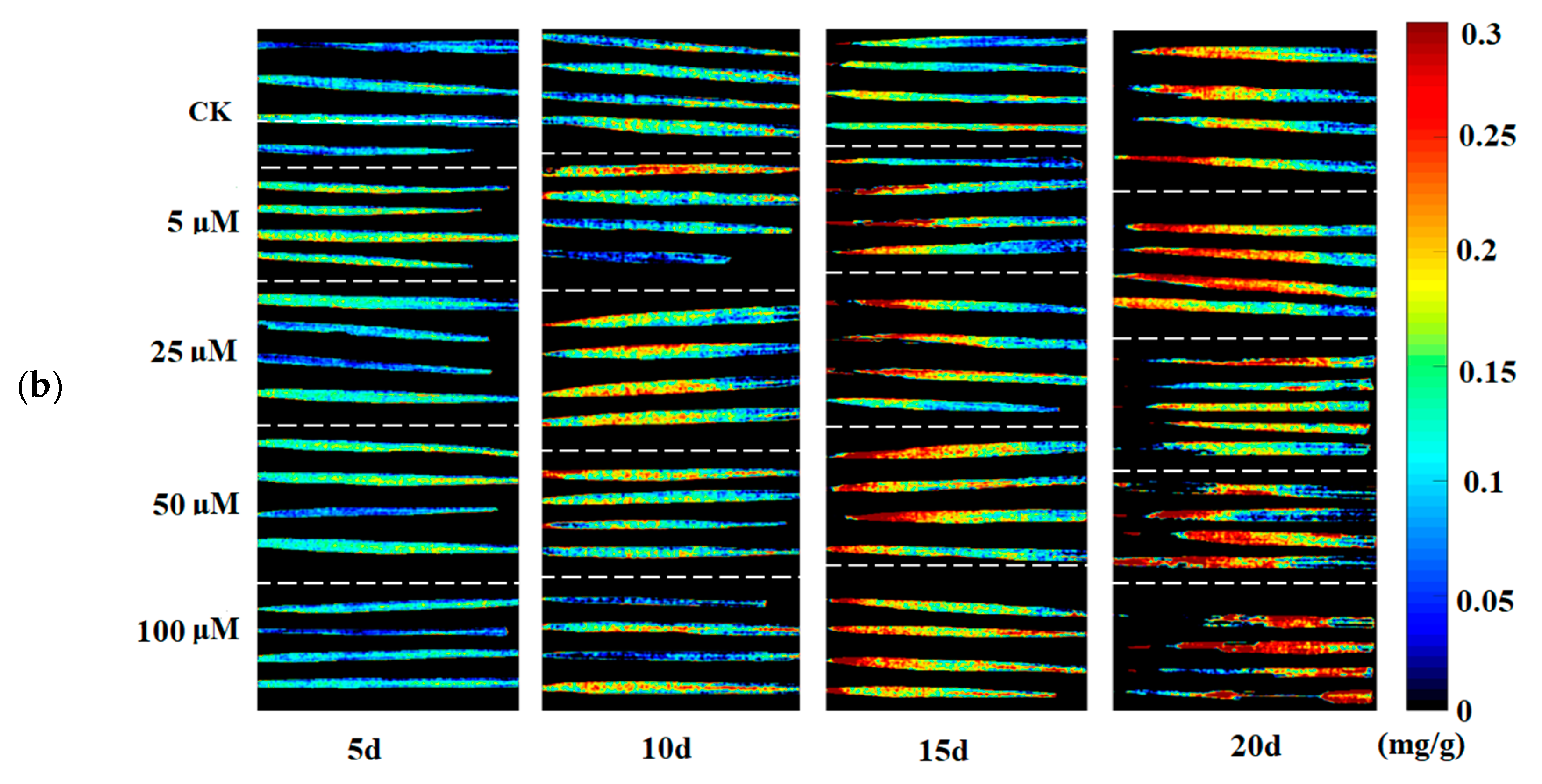 Sensors 20 03229 g004b Sensors 20 03229 g004b