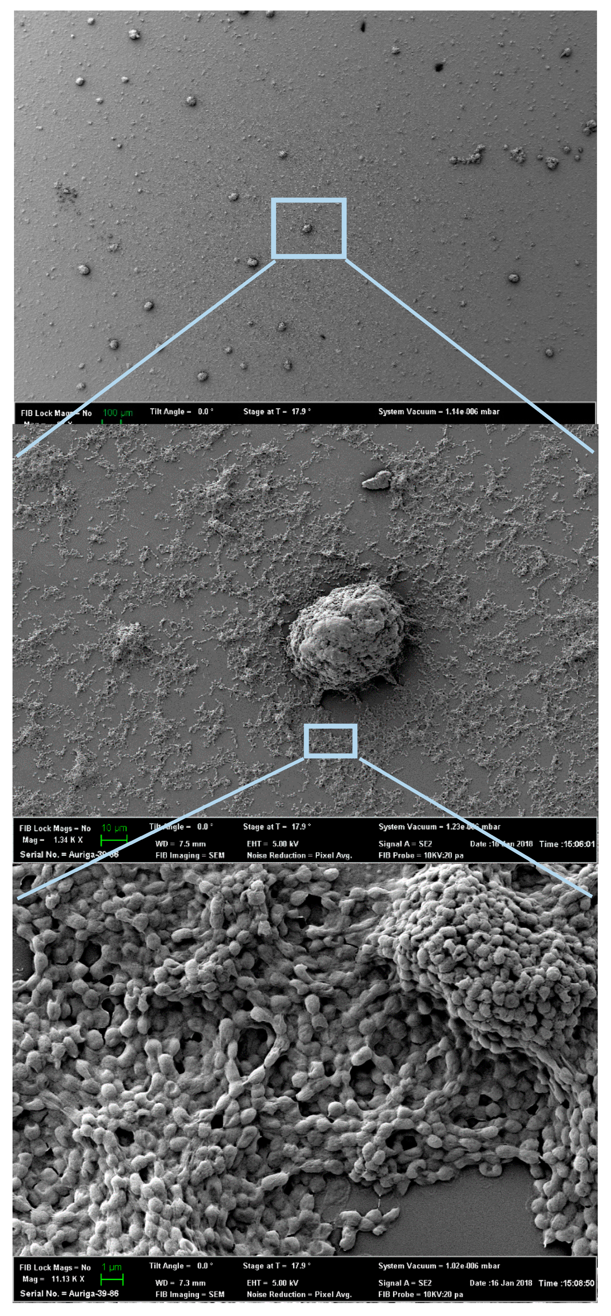 Sensors 20 03237 g004 Sensors 20 03237 g004