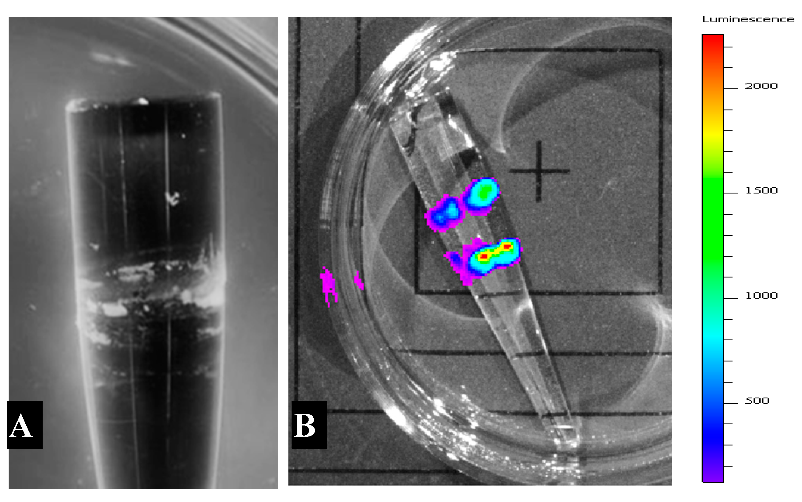 Sensors 20 03237 g008 Sensors 20 03237 g008