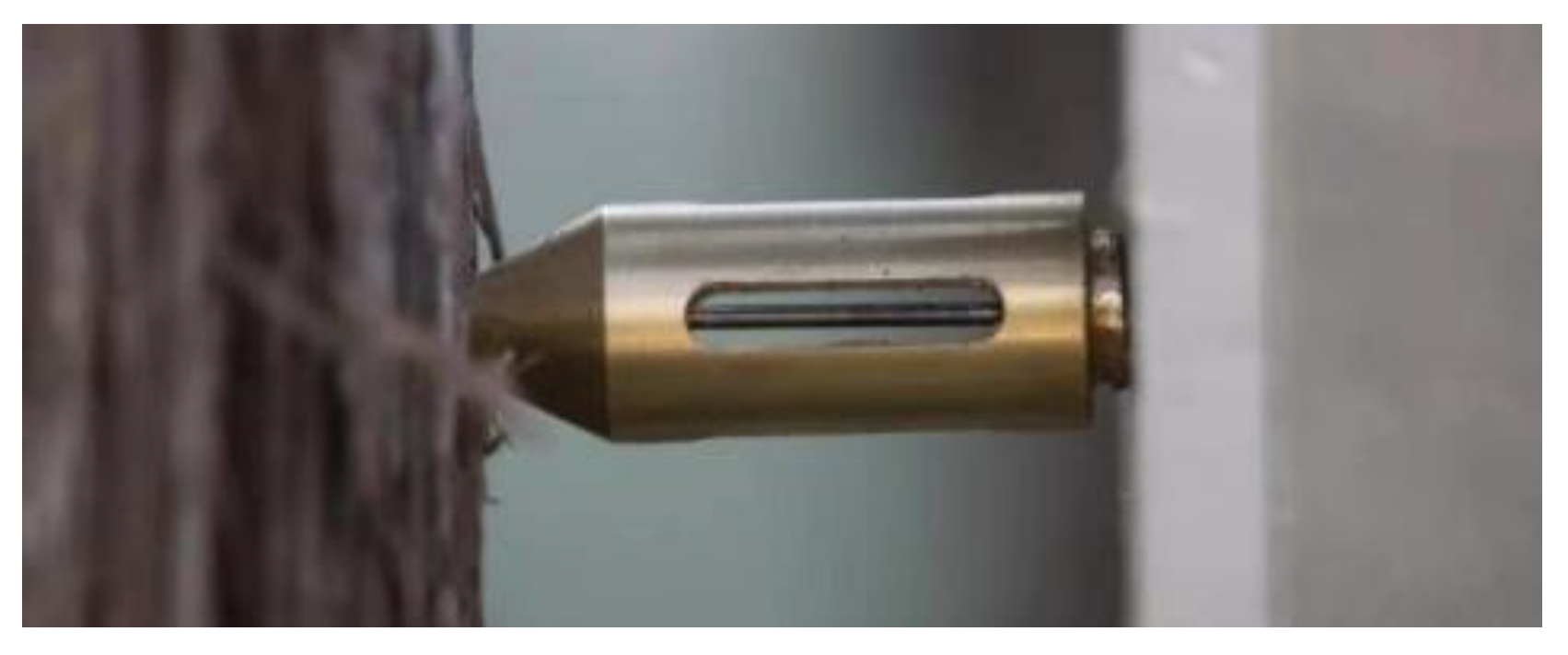 Sensors 20 03253 g006