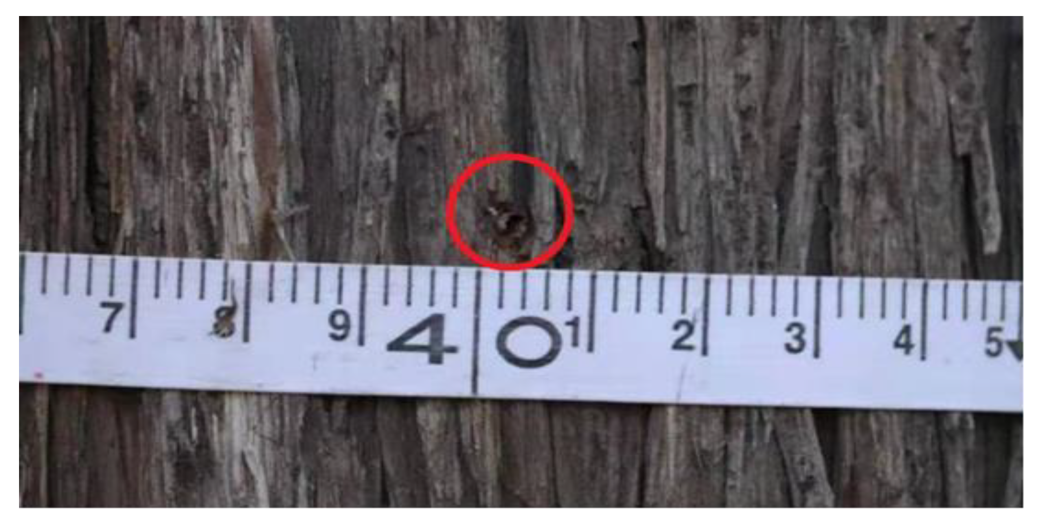 Sensors 20 03253 g022