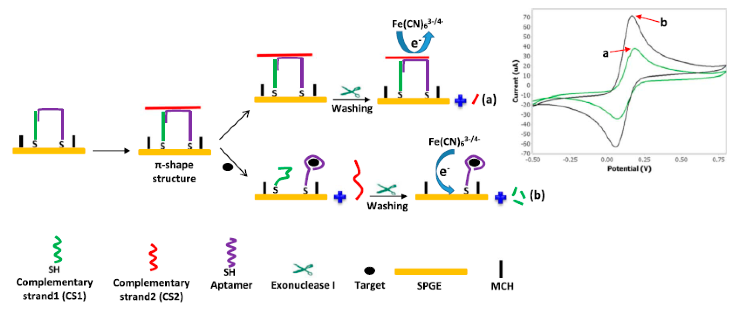 Sensors 20 03256 g002