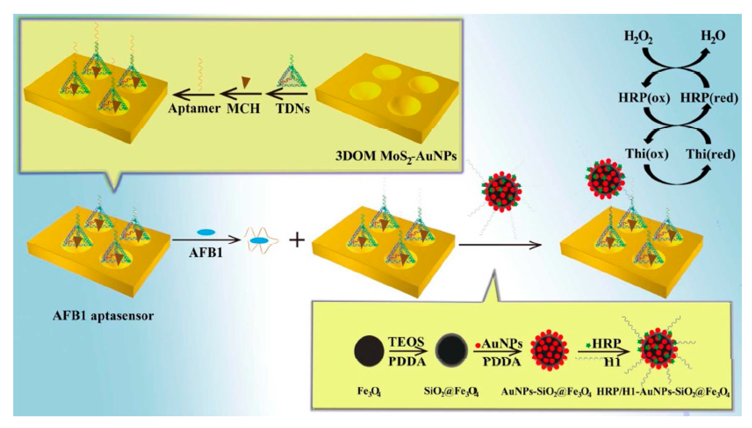 Sensors 20 03256 g004