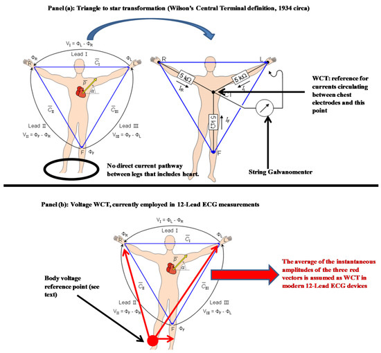 Sensors Free FullText WCTECGdb A 12Lead Electrocardiography