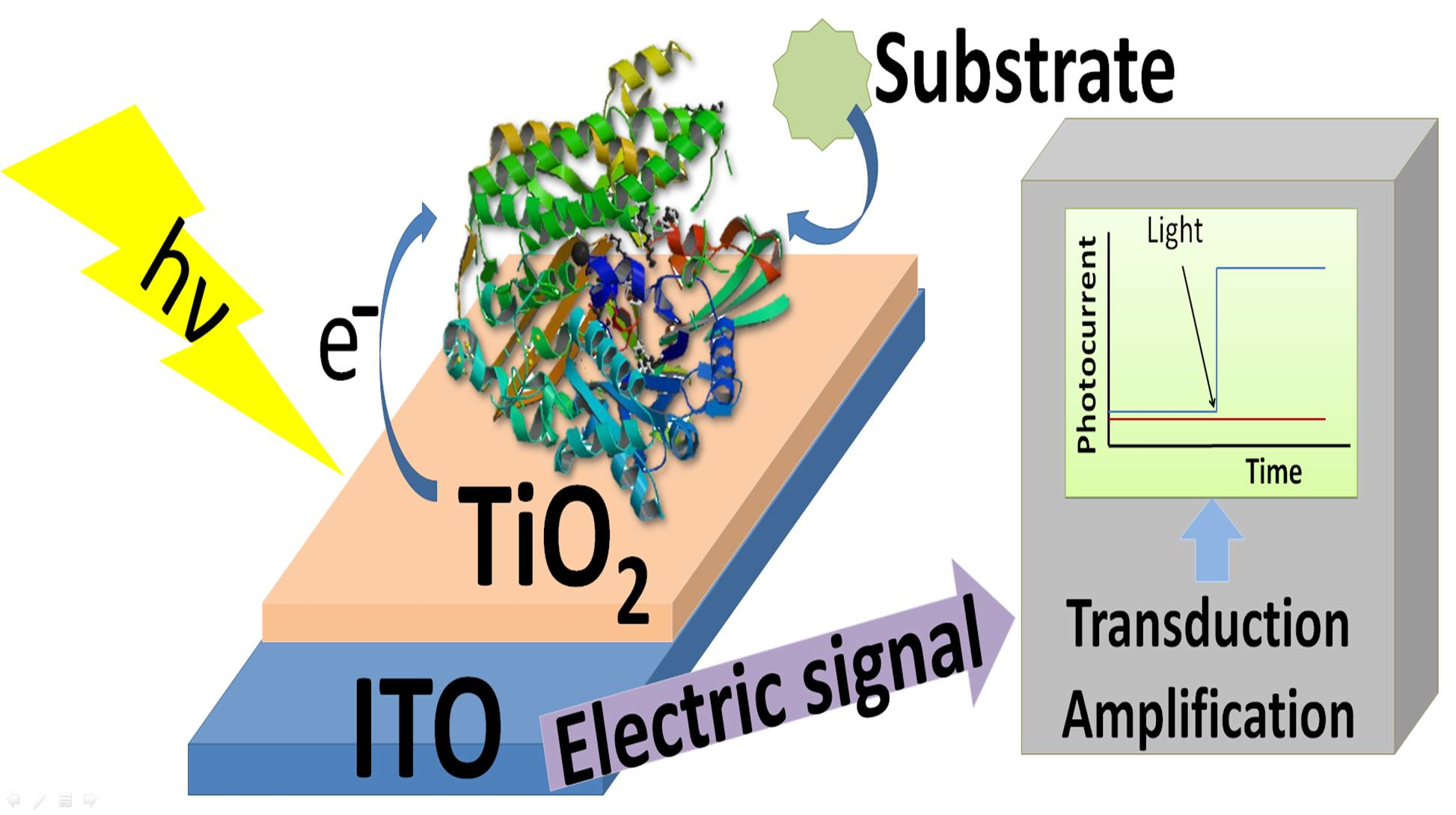 Sensors Free FullText Enhancement of Biosensors by Implementing