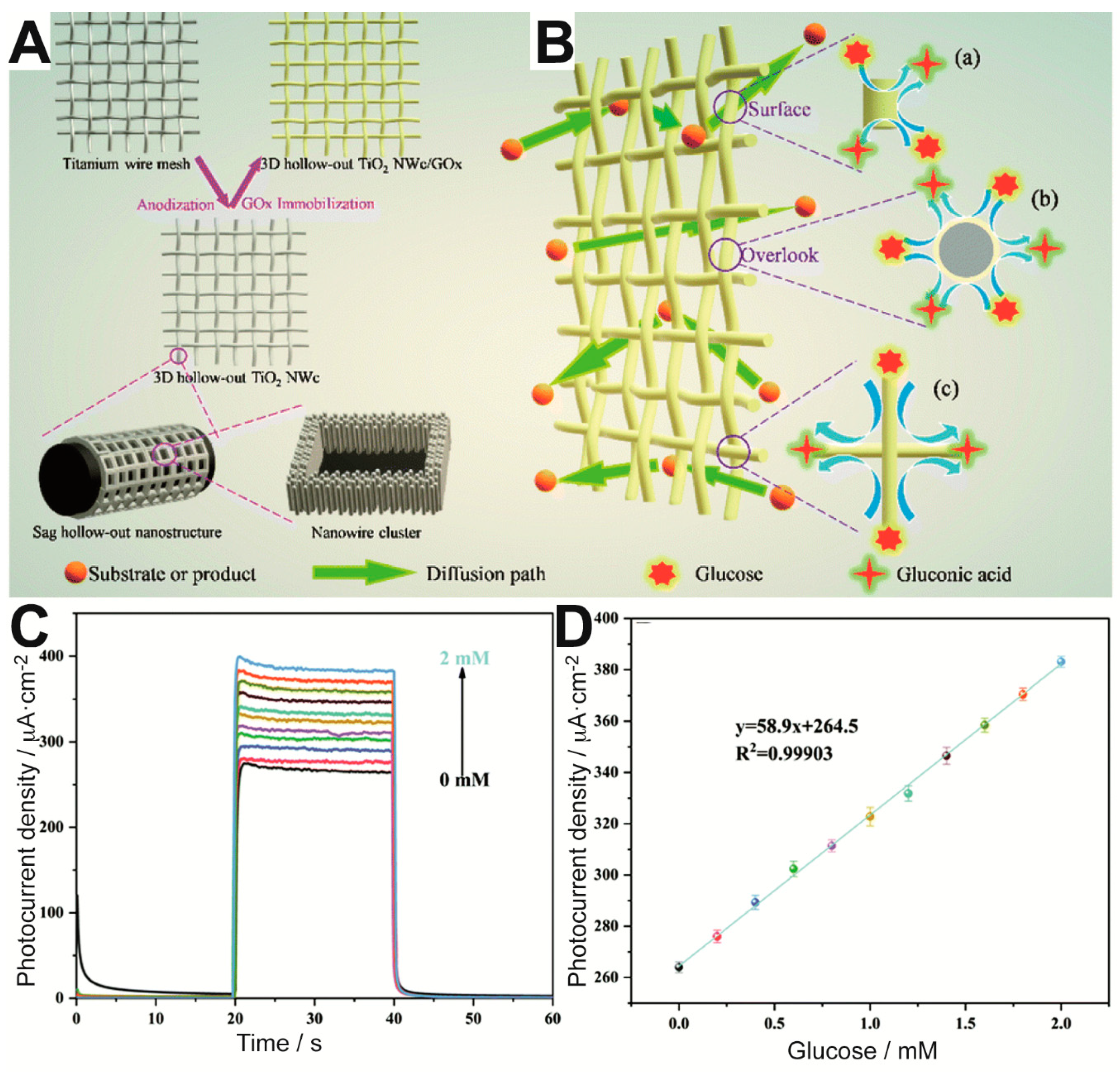 Sensors 20 03281 g003