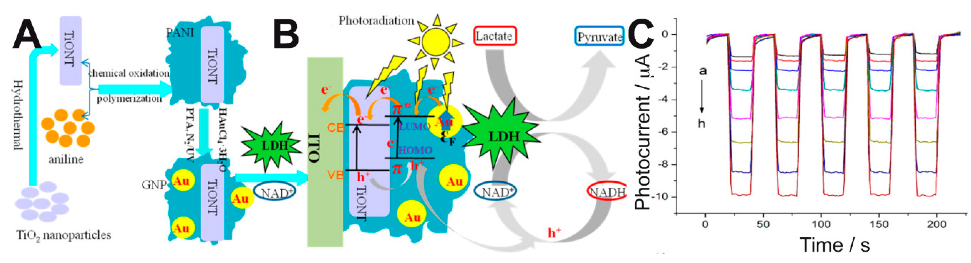 Sensors 20 03281 g006