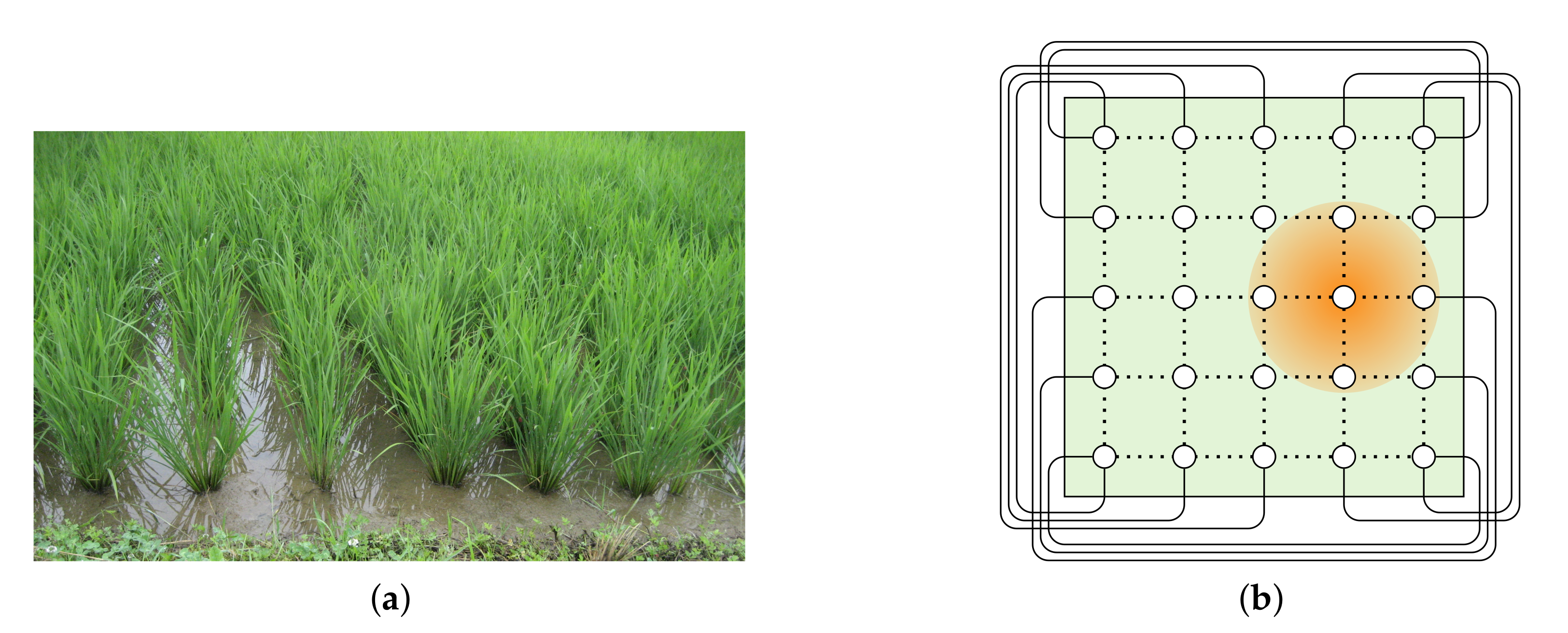 Sensors 20 03286 g001